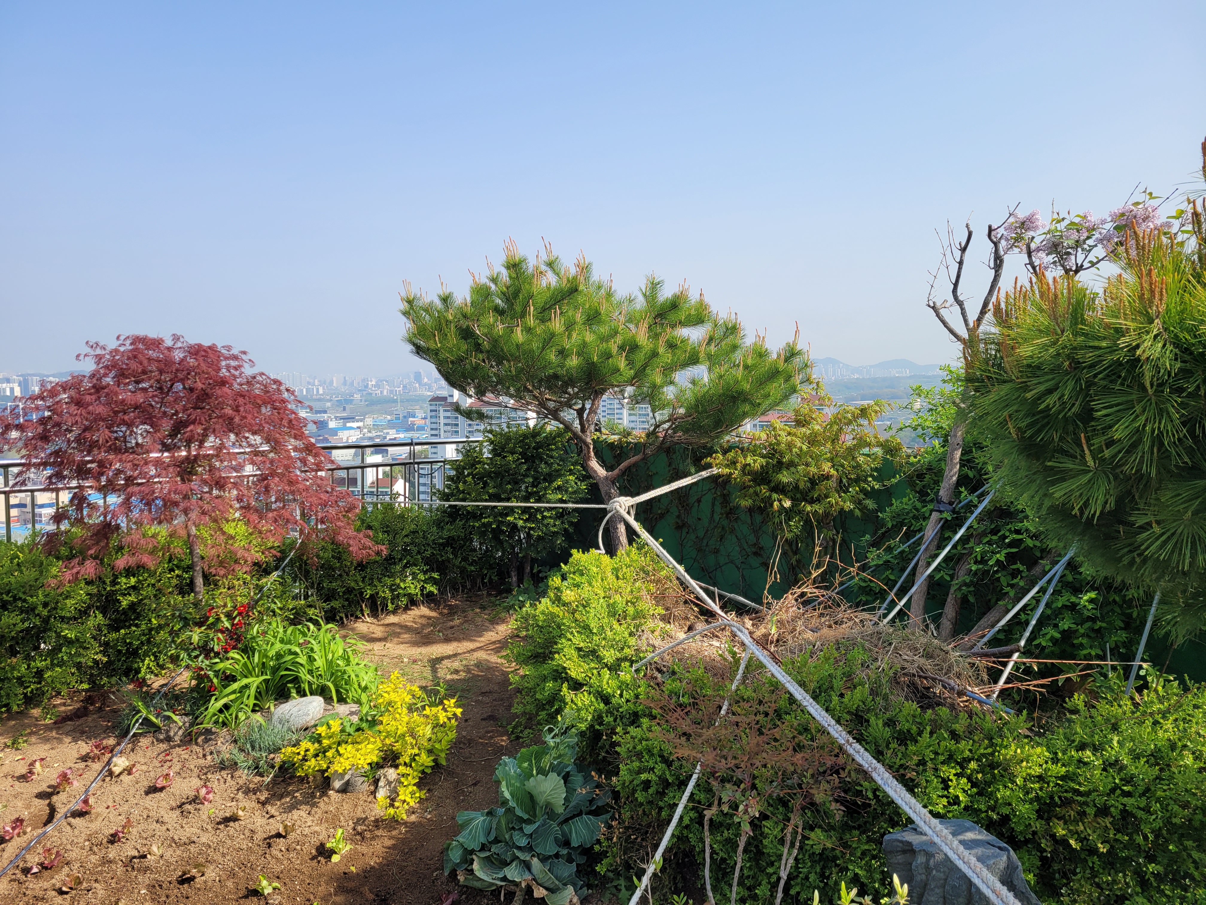 논현파크포레 아파트 — 아파트