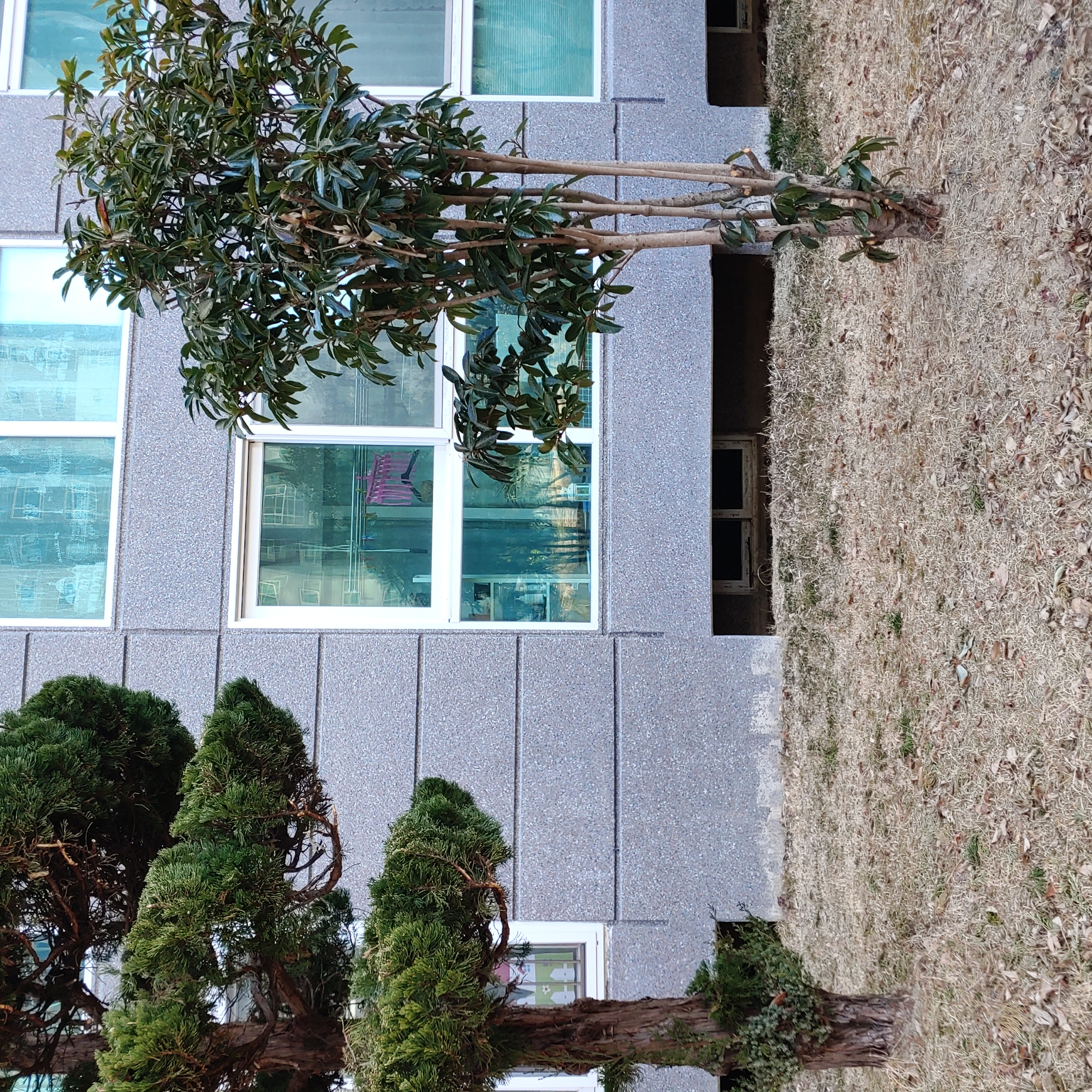 정관이지더원 아파트 — 외부 재도장