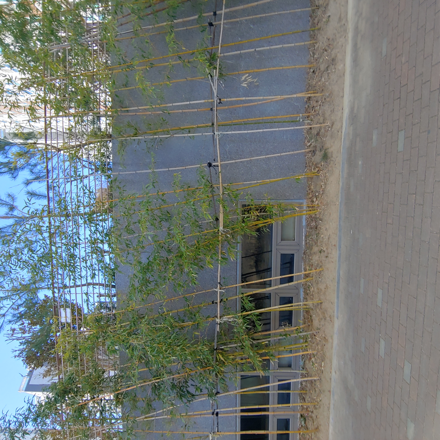 정관이지더원 아파트 — 외부 재도장