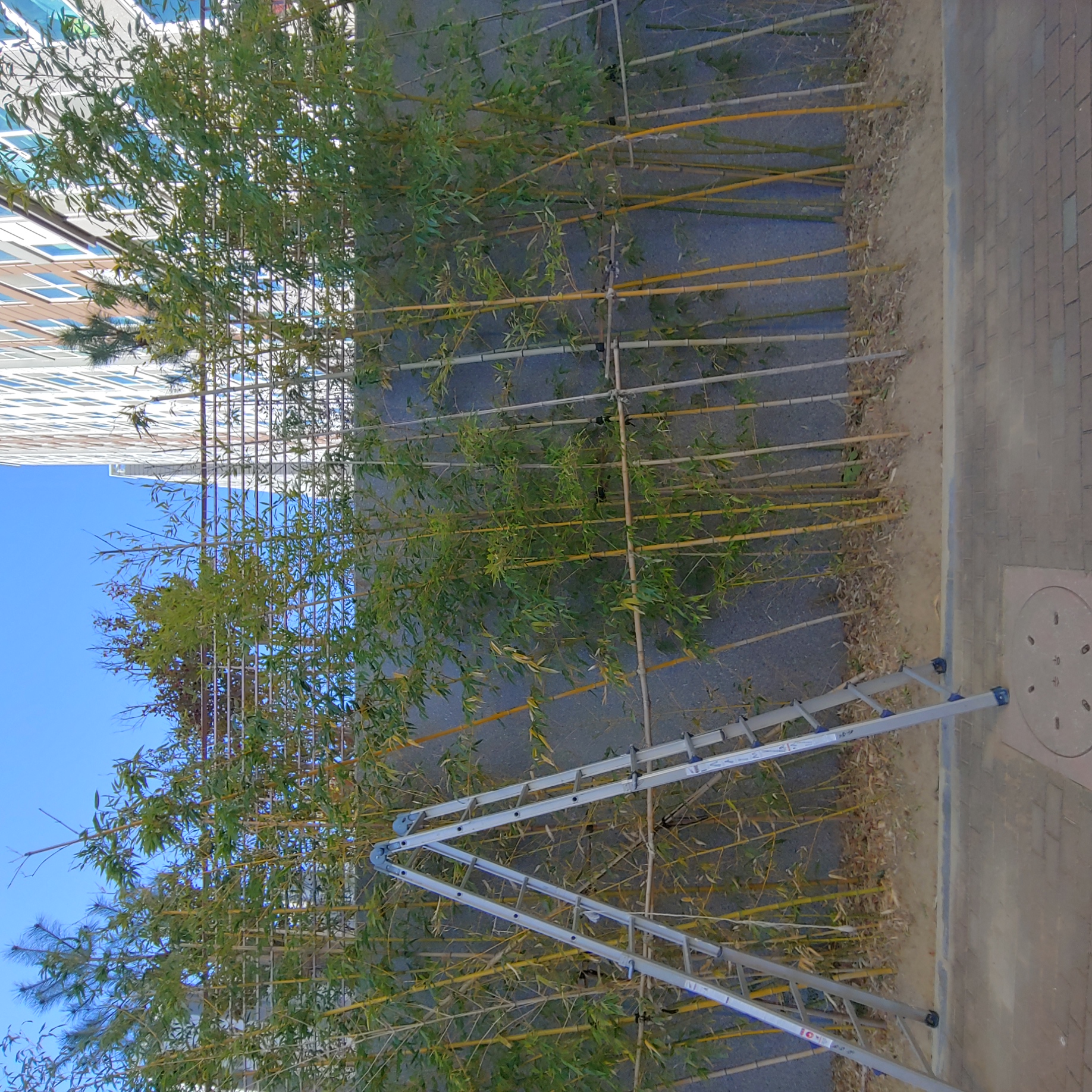 정관이지더원 아파트 — 외부 재도장