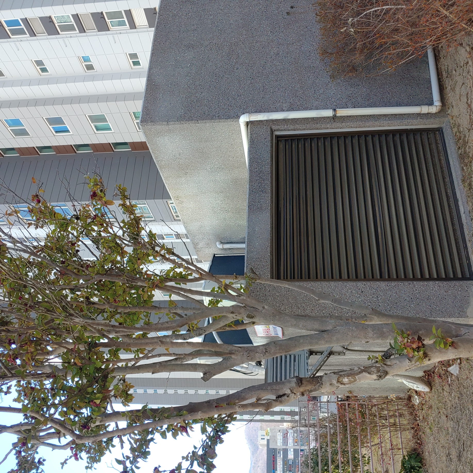 정관이지더원 아파트 — 외부 재도장