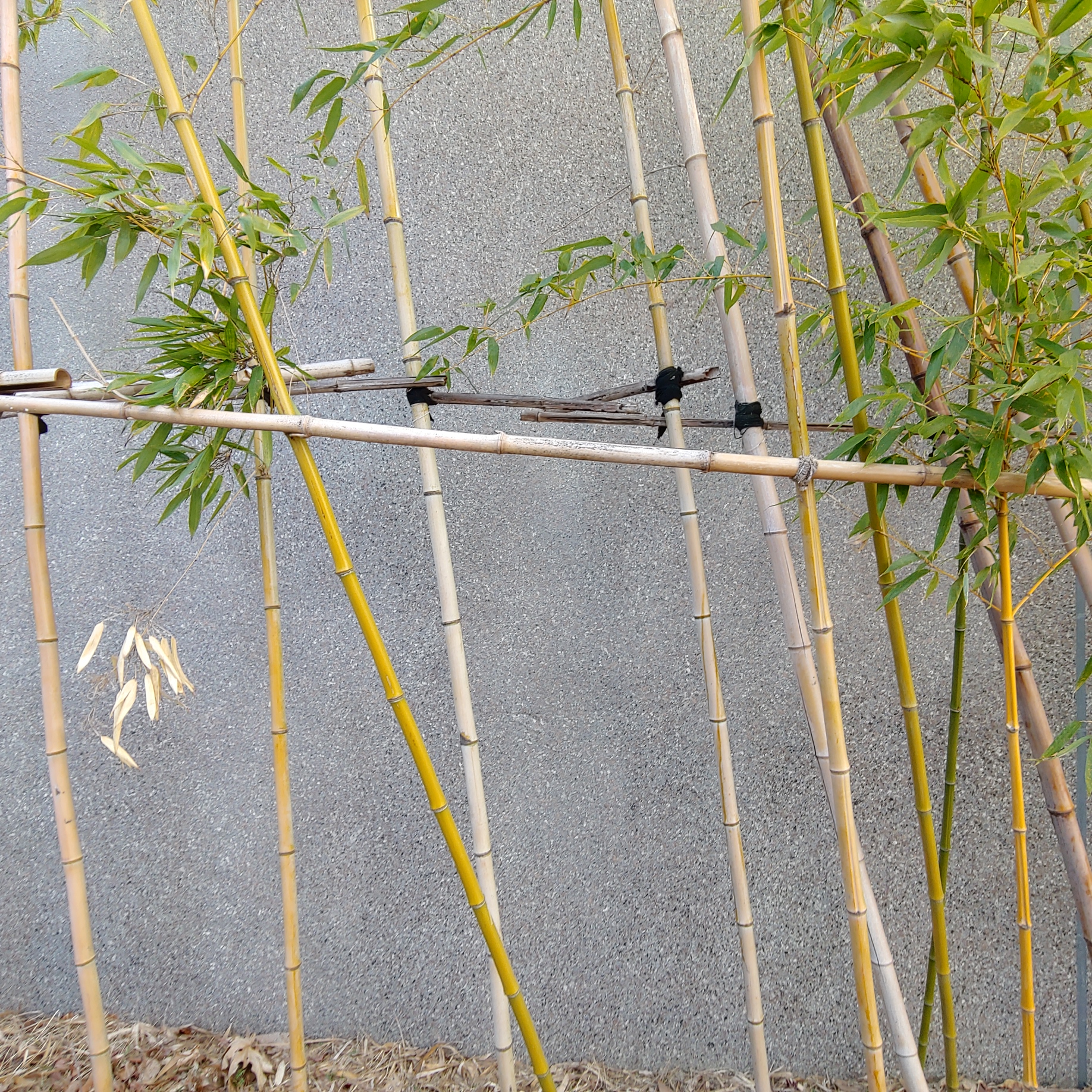 정관이지더원 아파트 — 외부 재도장