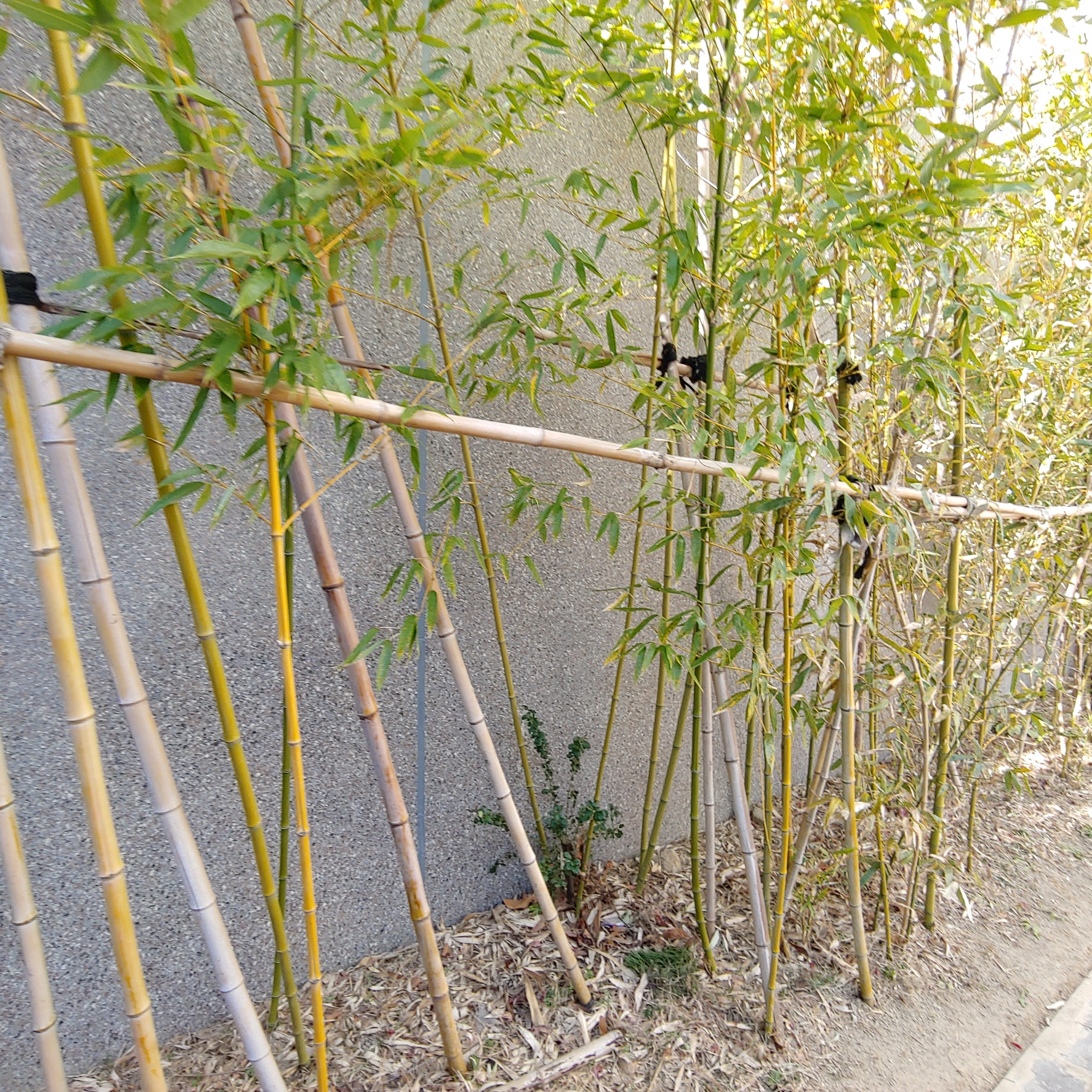 정관이지더원 아파트 — 외부 재도장