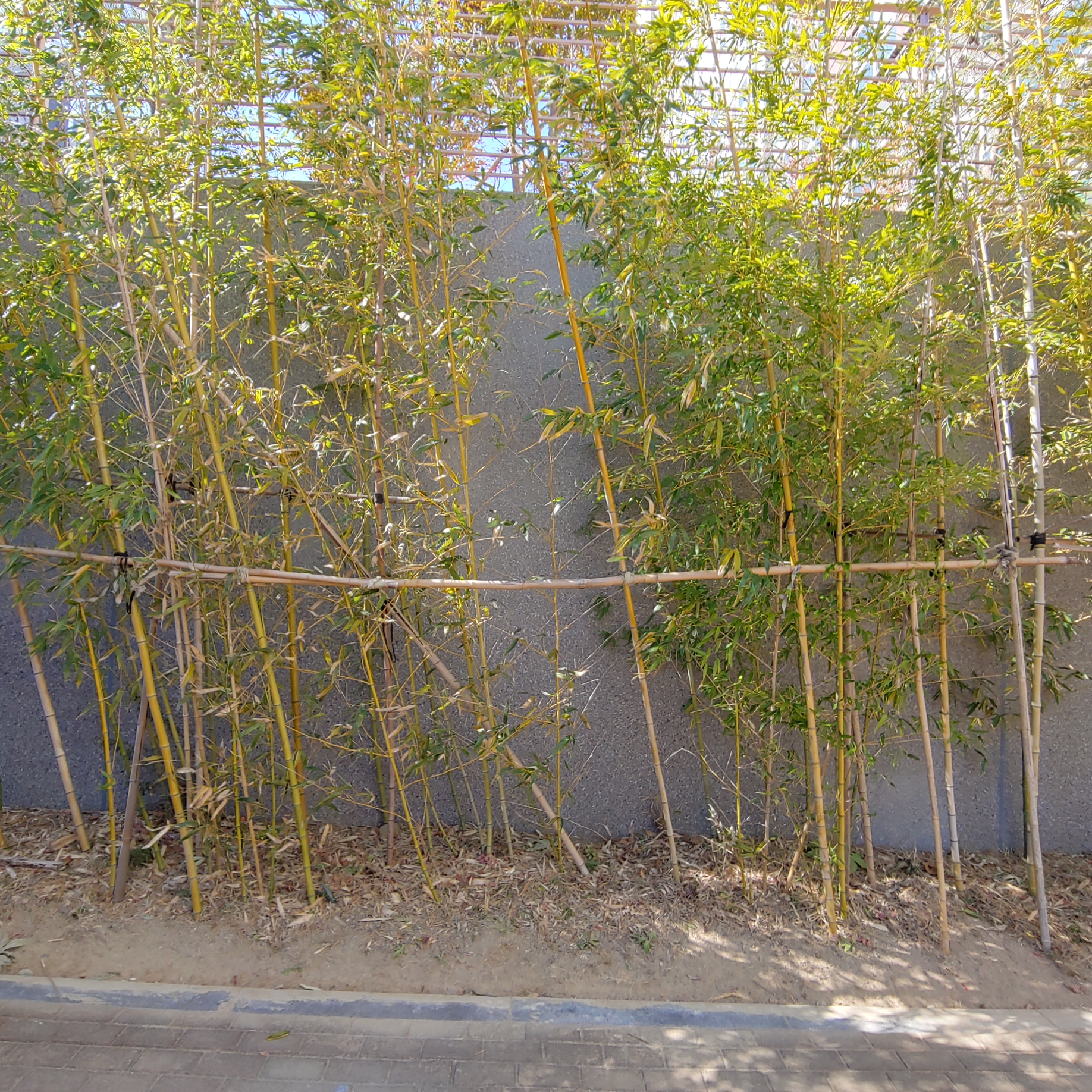 정관이지더원 아파트 — 외부 재도장