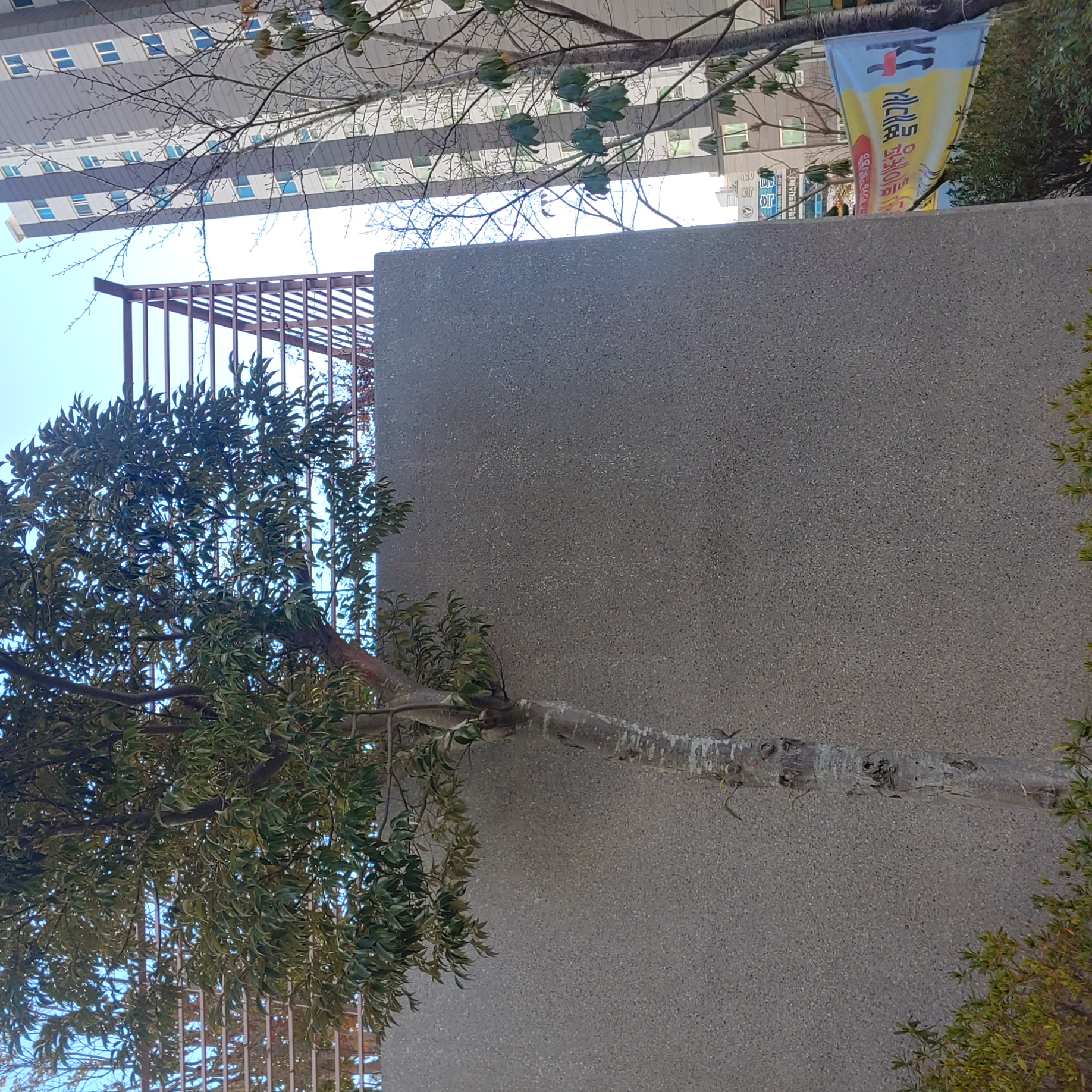 정관이지더원 아파트 — 외부 재도장