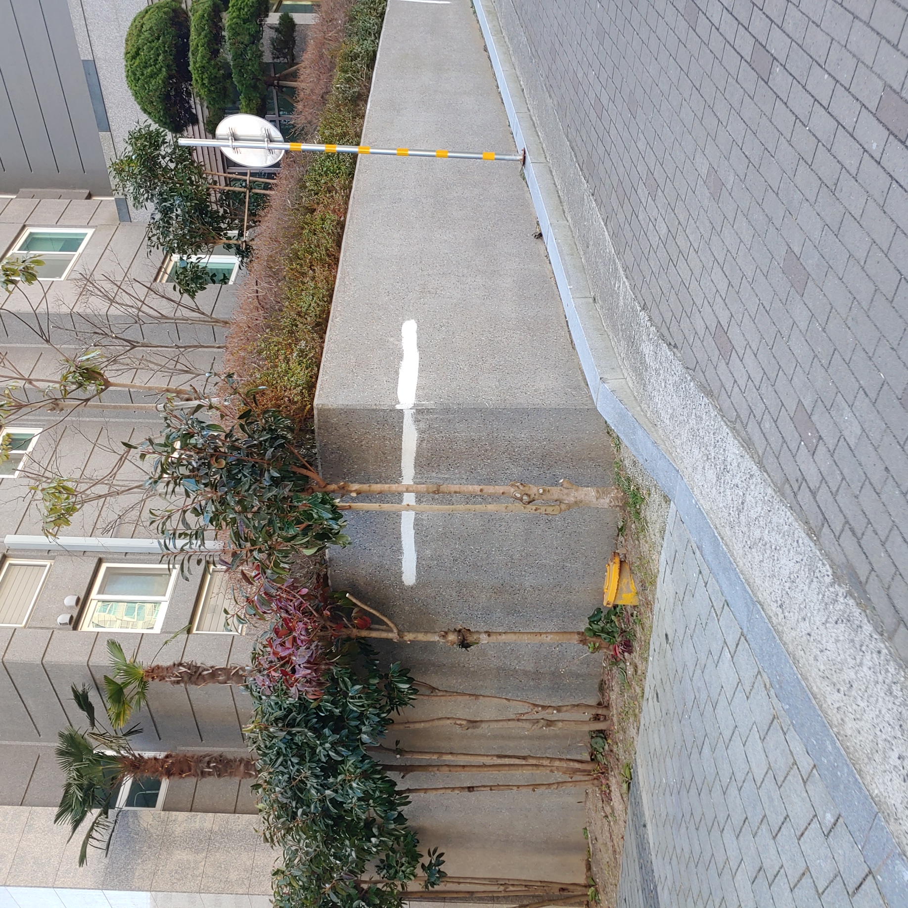 정관이지더원 아파트 — 외부 재도장