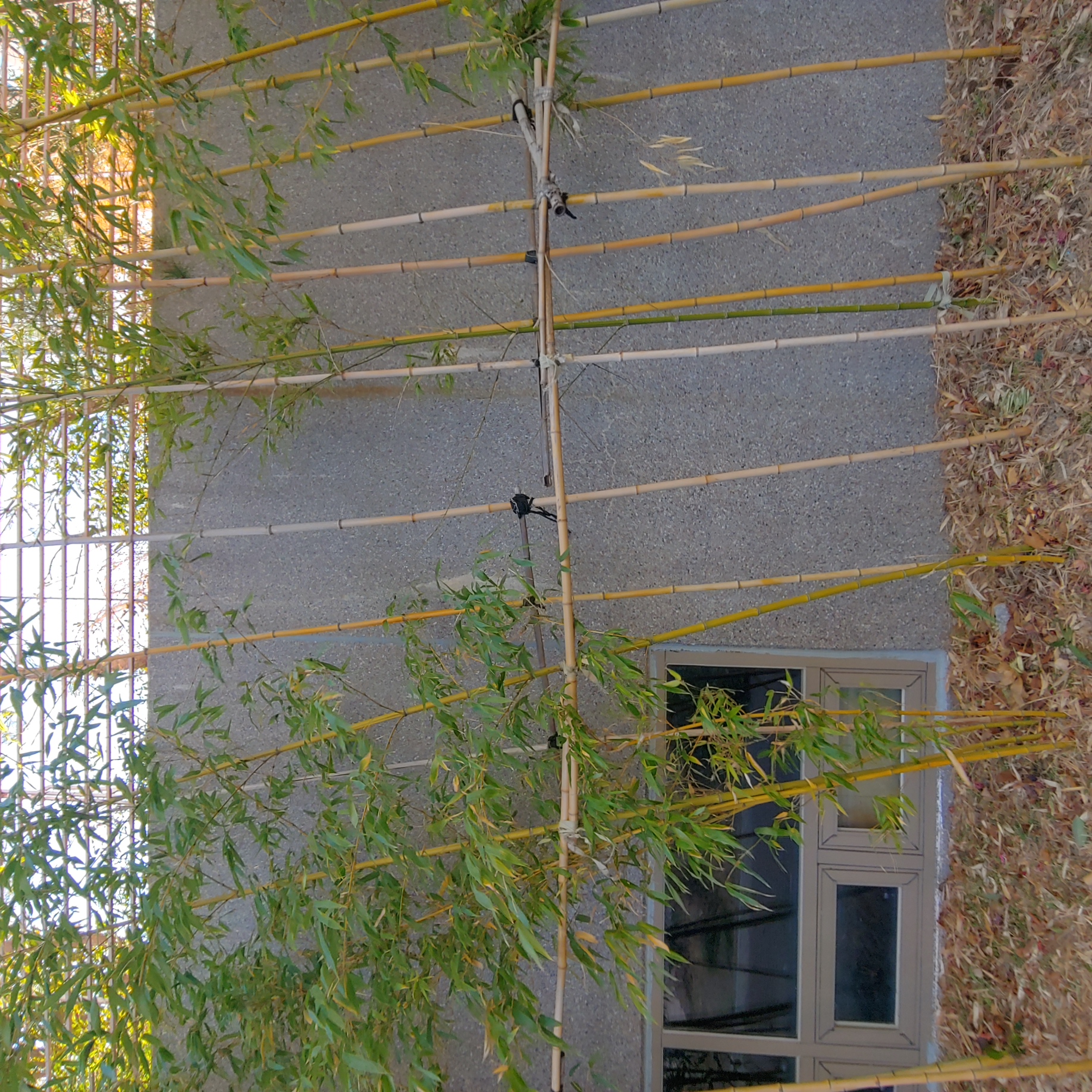 정관이지더원 아파트 — 외부 재도장