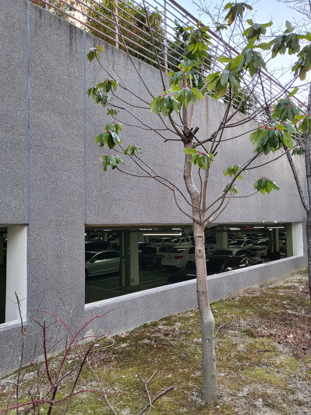 정관이지더원 아파트 — 외부 재도장