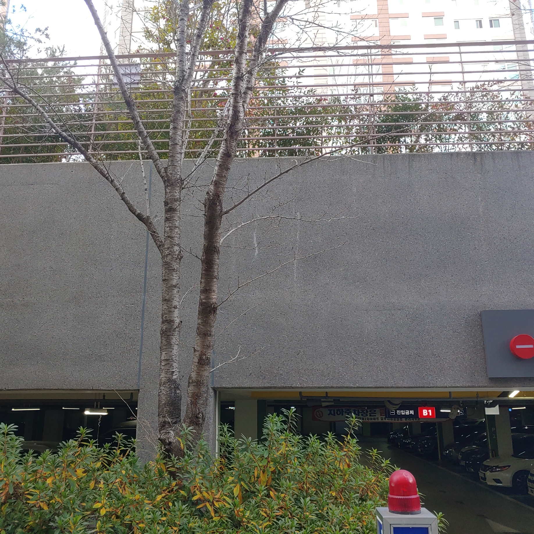 정관이지더원 아파트 — 외부 재도장