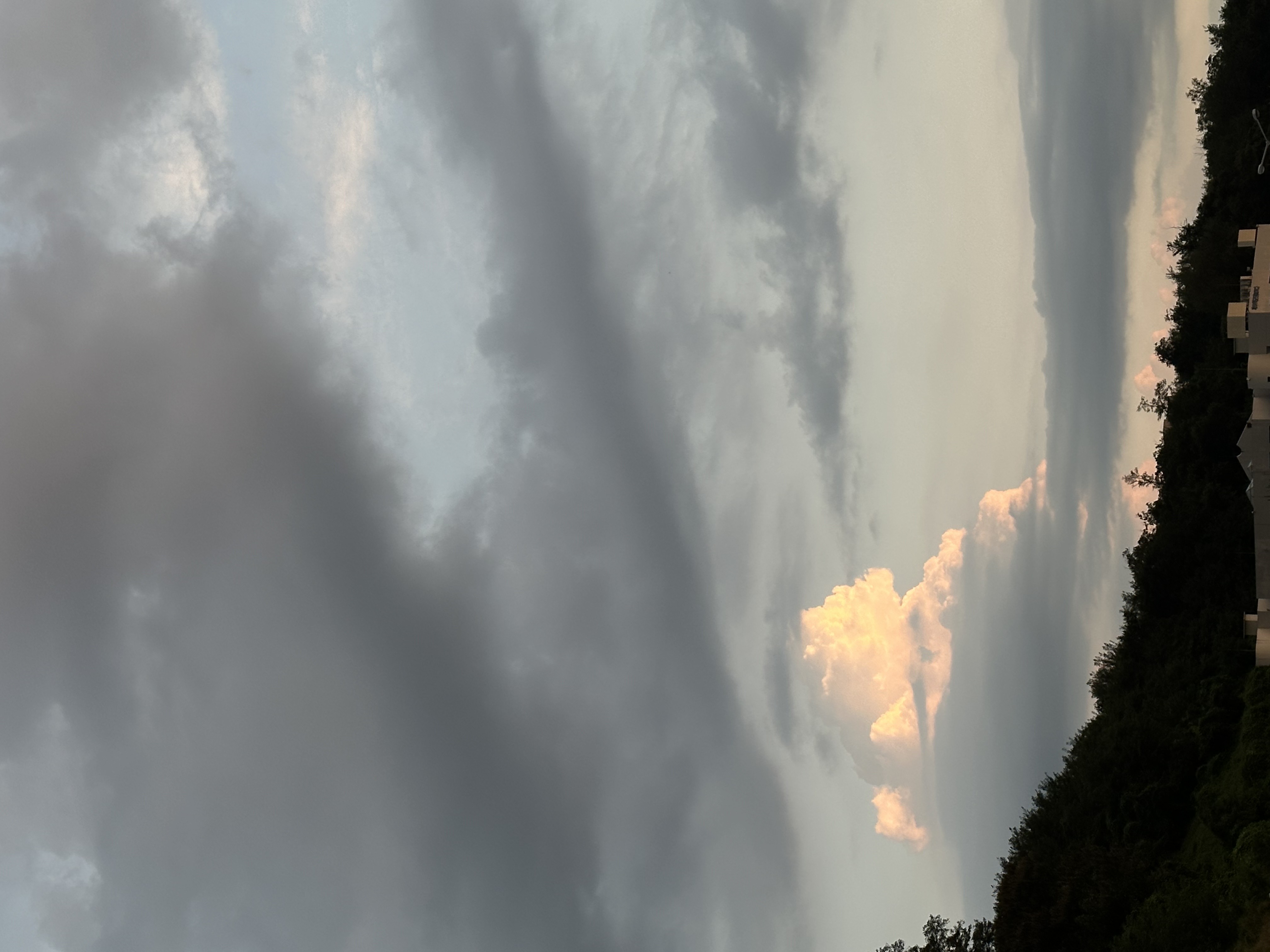 가천대학교 — 대학교