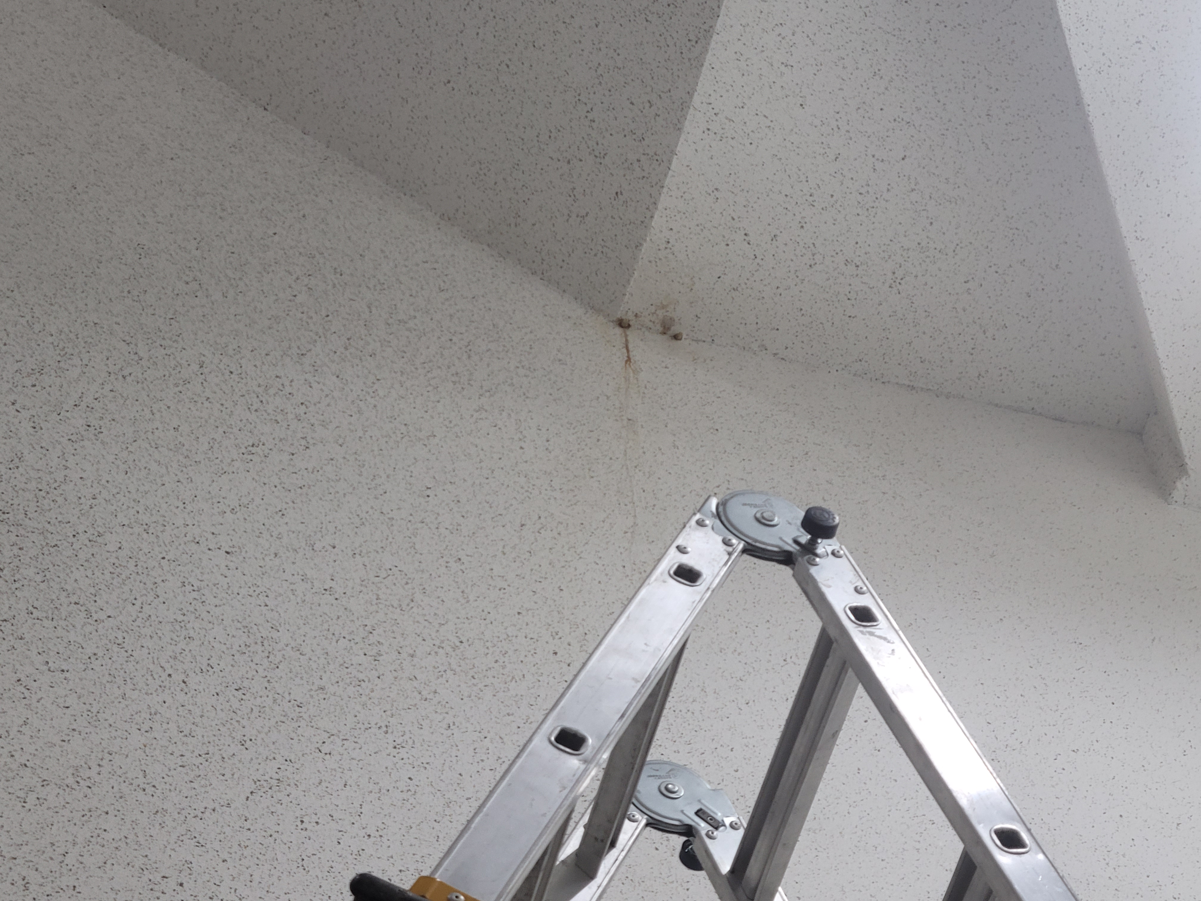 상록신봉종합상가 — 아파트 도장