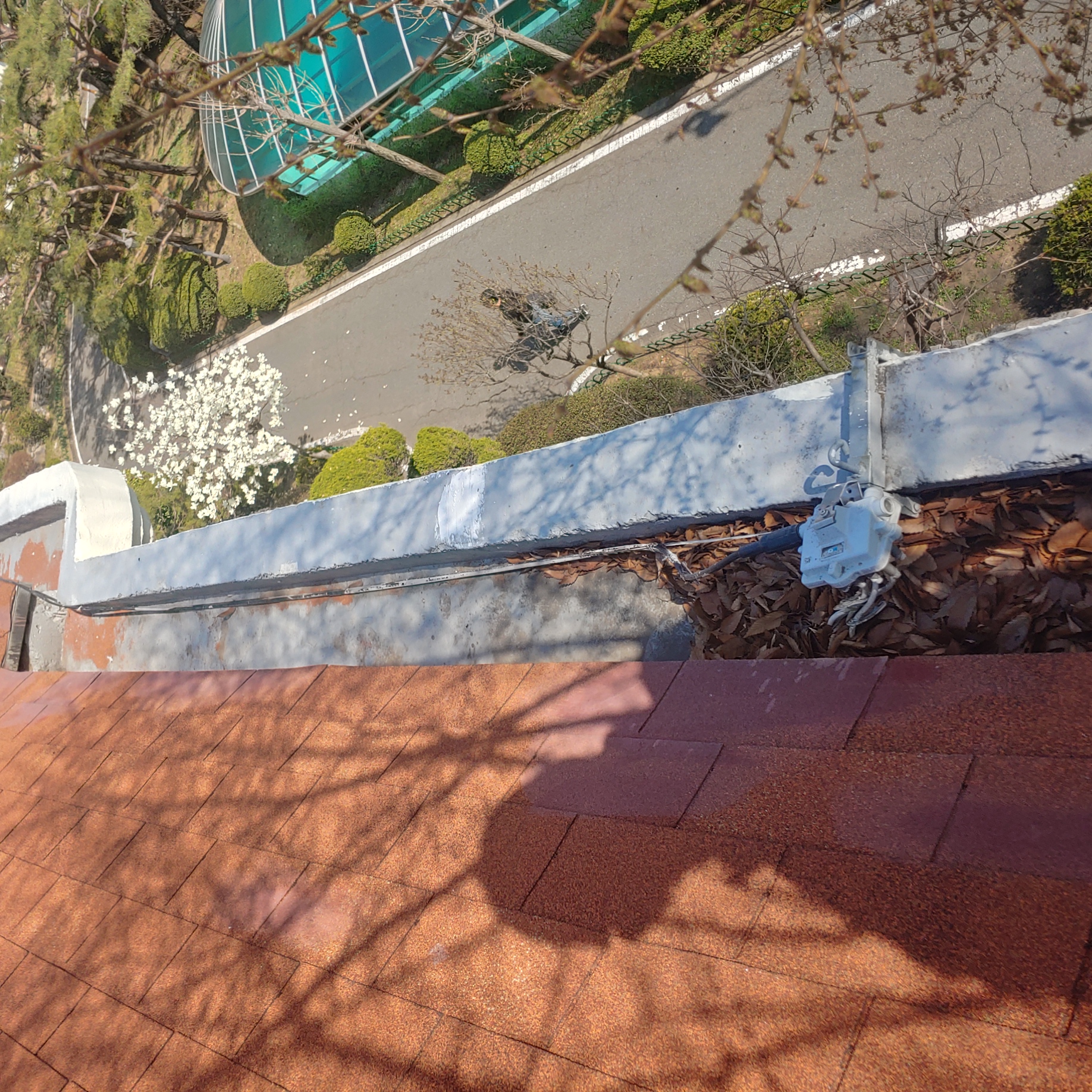 정발 건영3단지 — 아파트