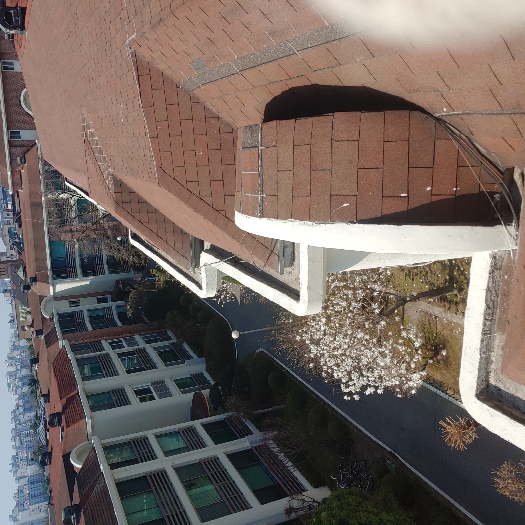 정발 건영3단지 — 아파트