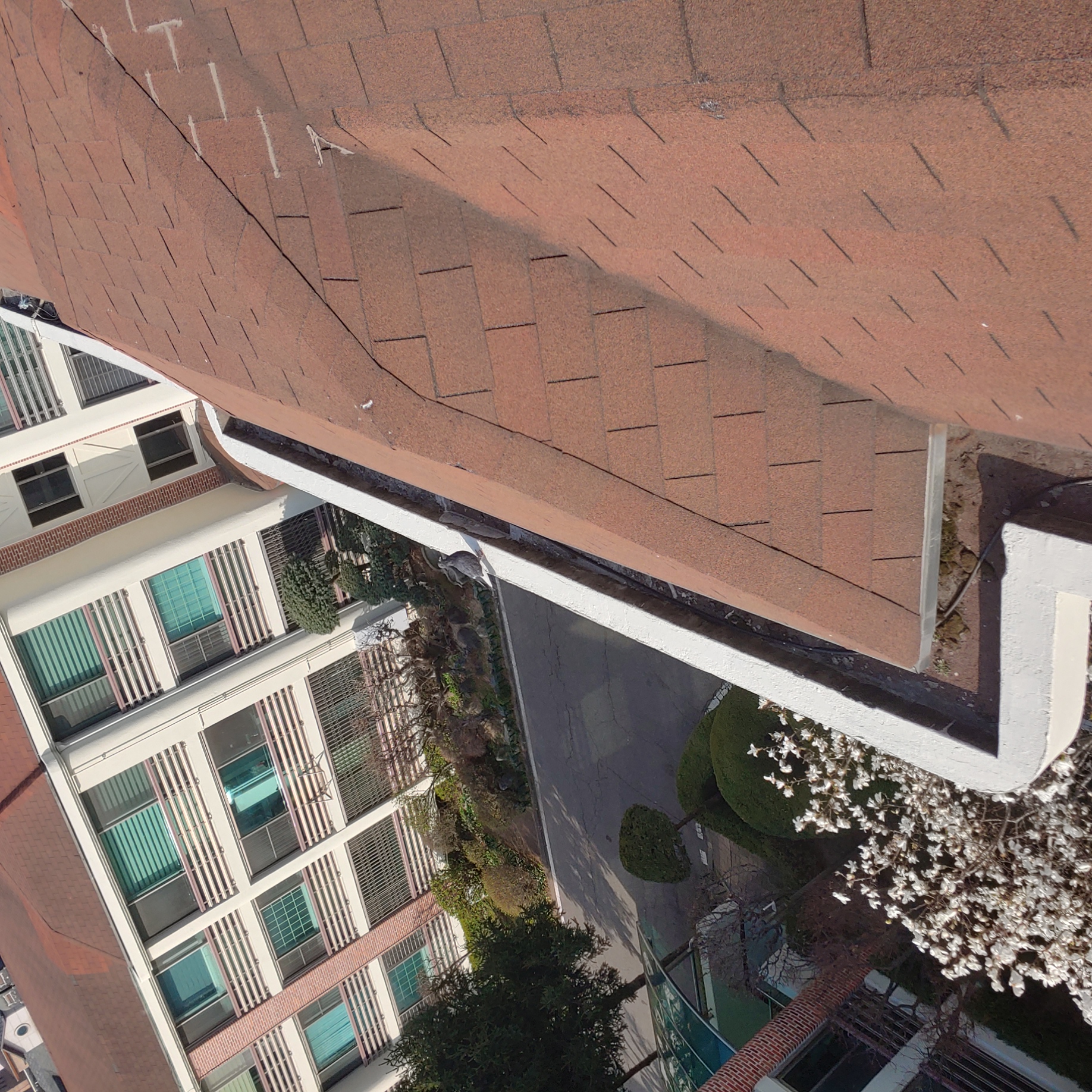 정발 건영3단지 — 아파트