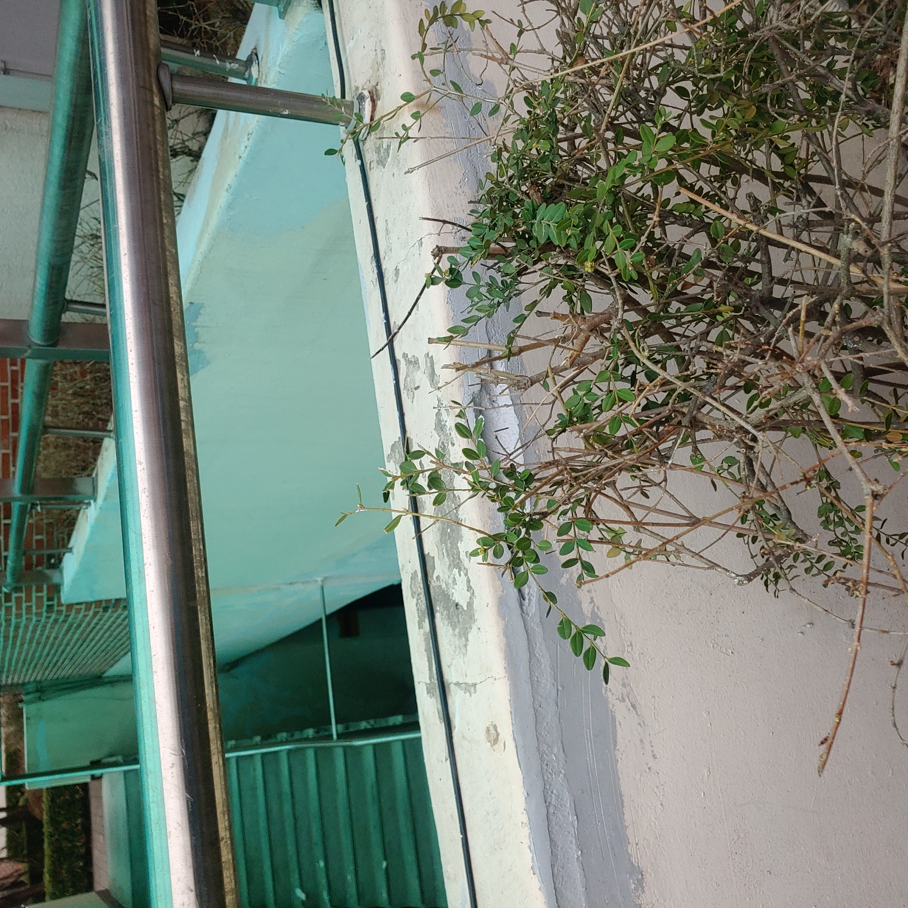 정발 건영3단지 — 아파트