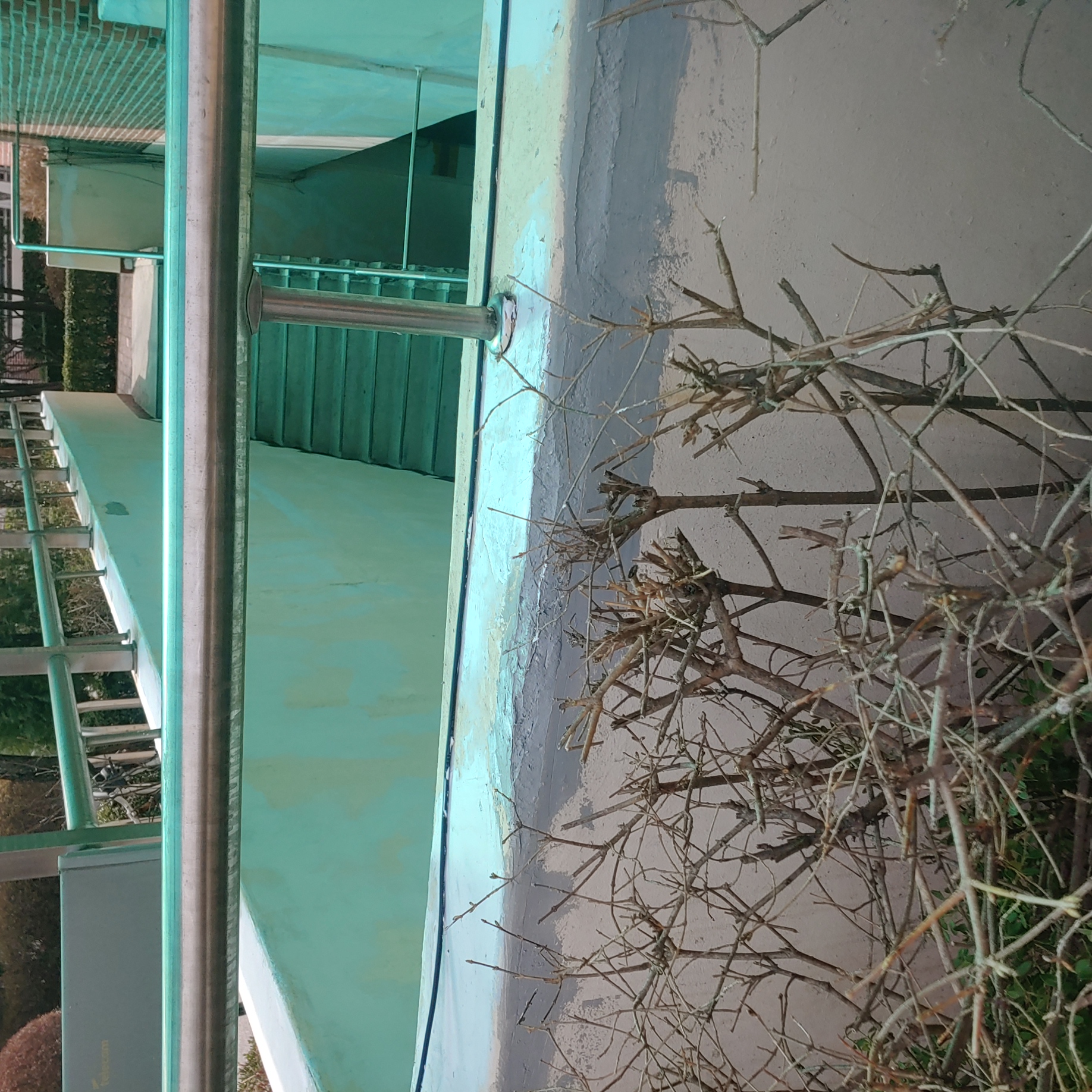 정발 건영3단지 — 아파트