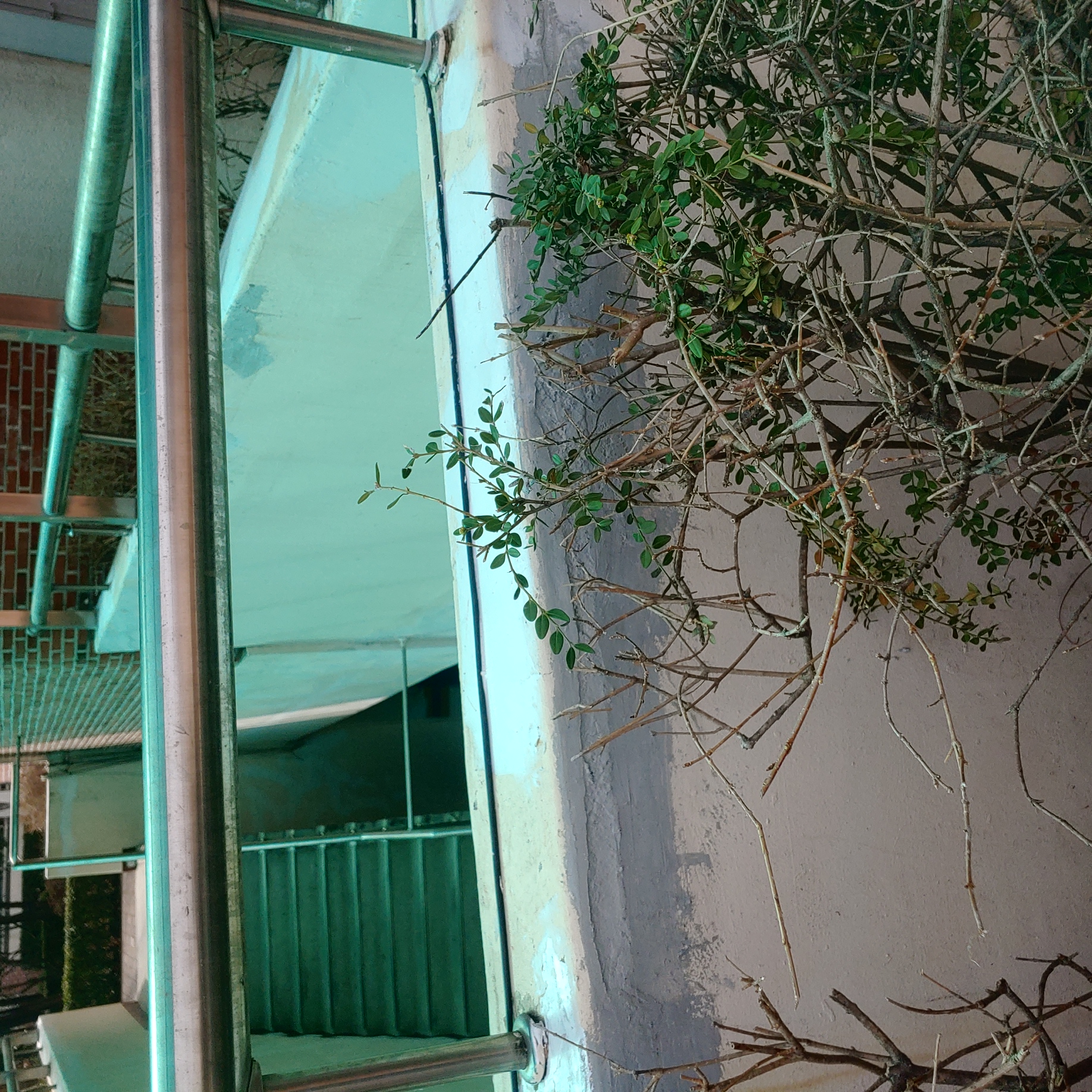 정발 건영3단지 — 아파트