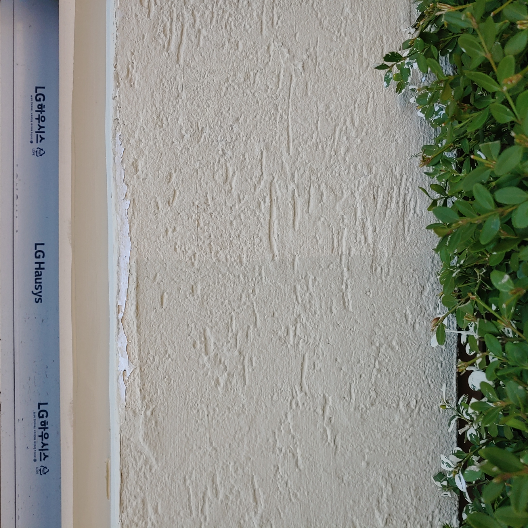 정발 건영3단지 — 아파트