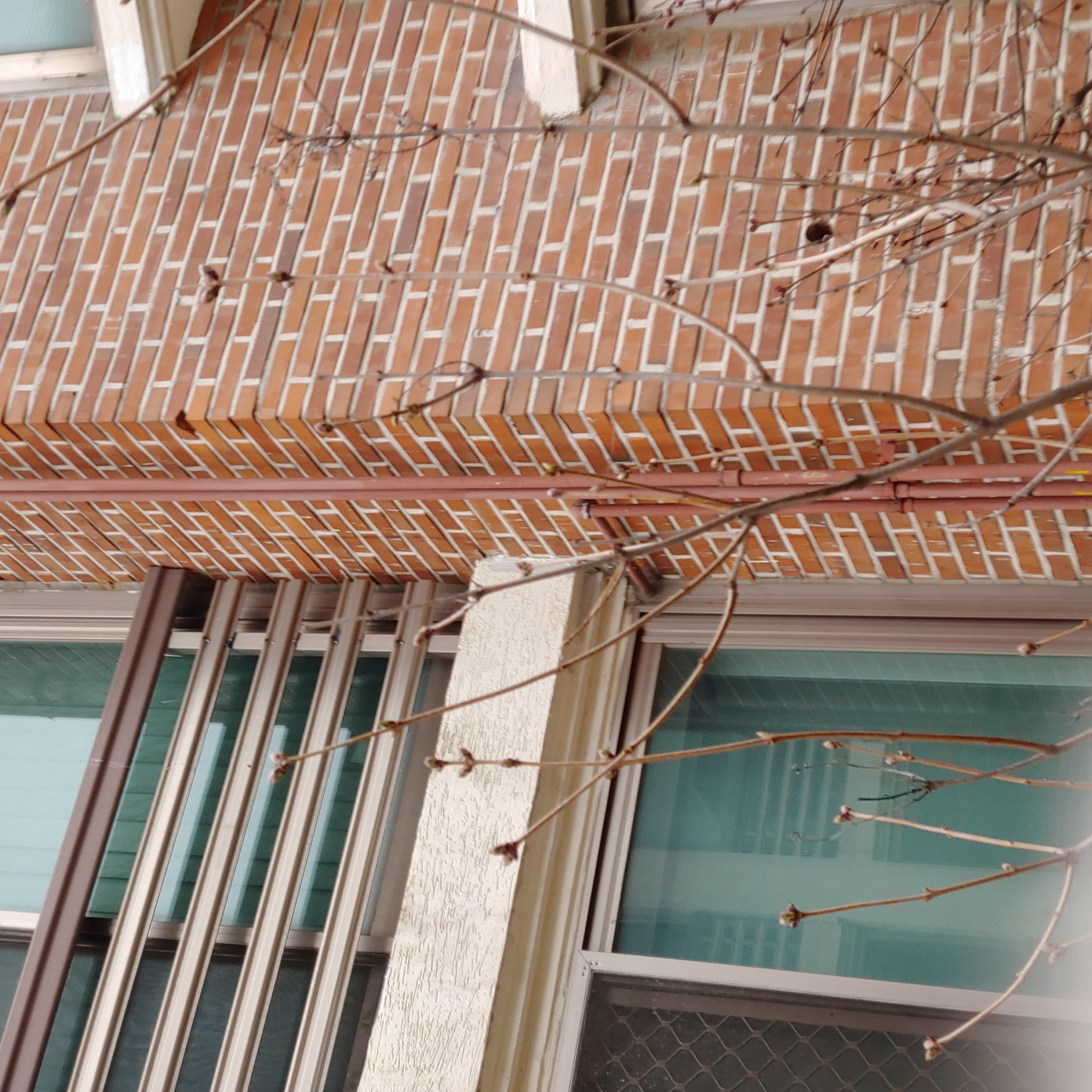 정발 건영3단지 — 아파트