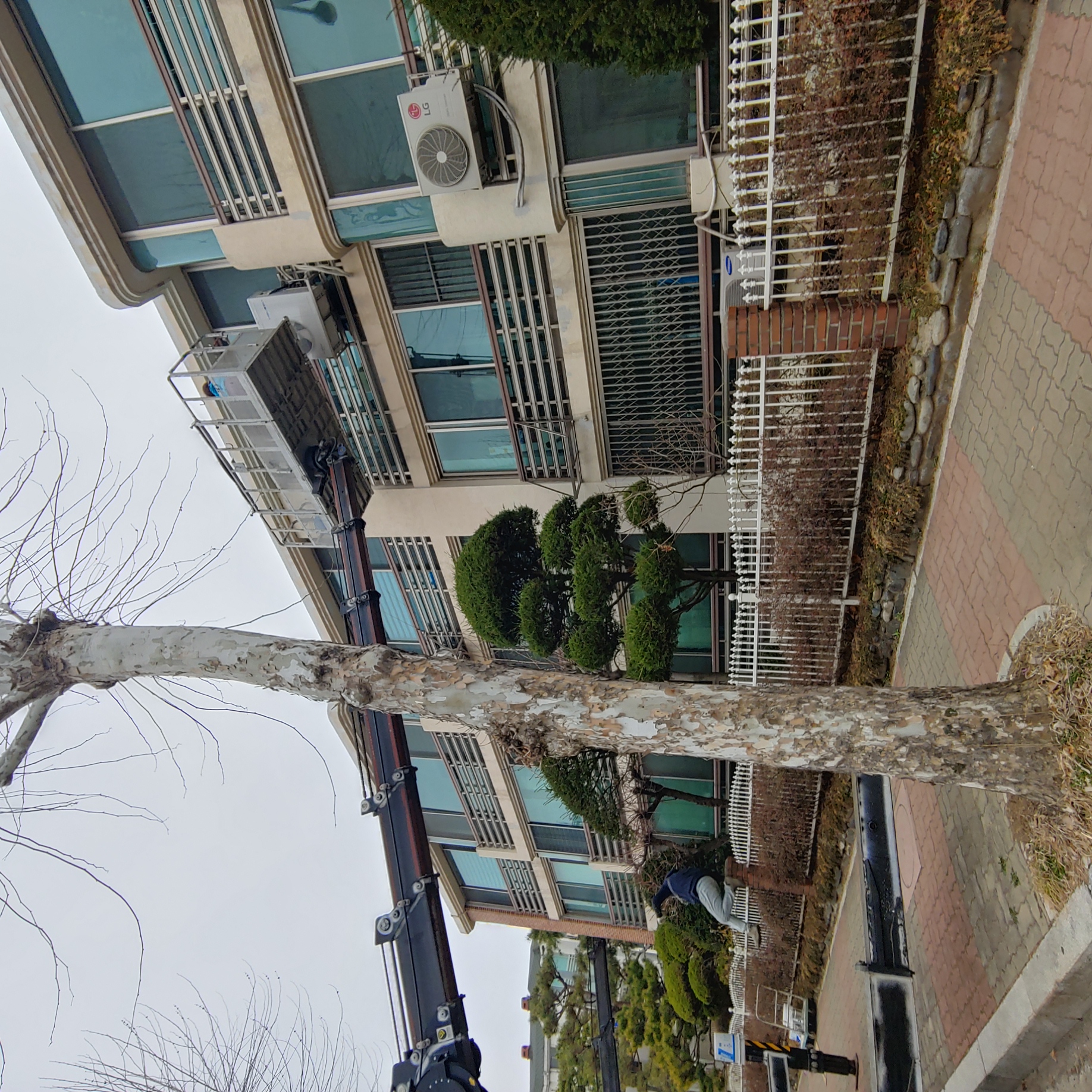 정발 건영3단지 — 아파트