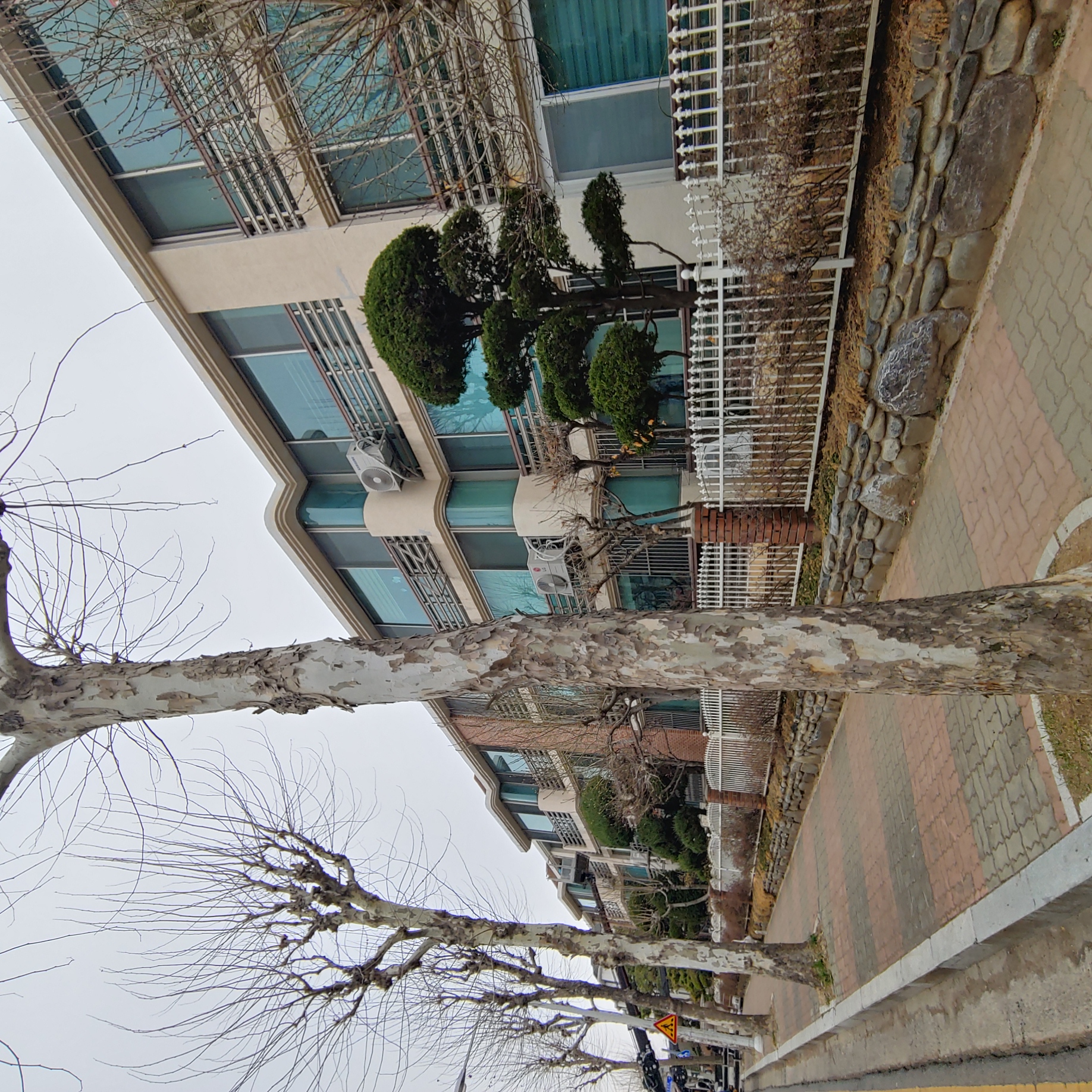 정발 건영3단지 — 아파트