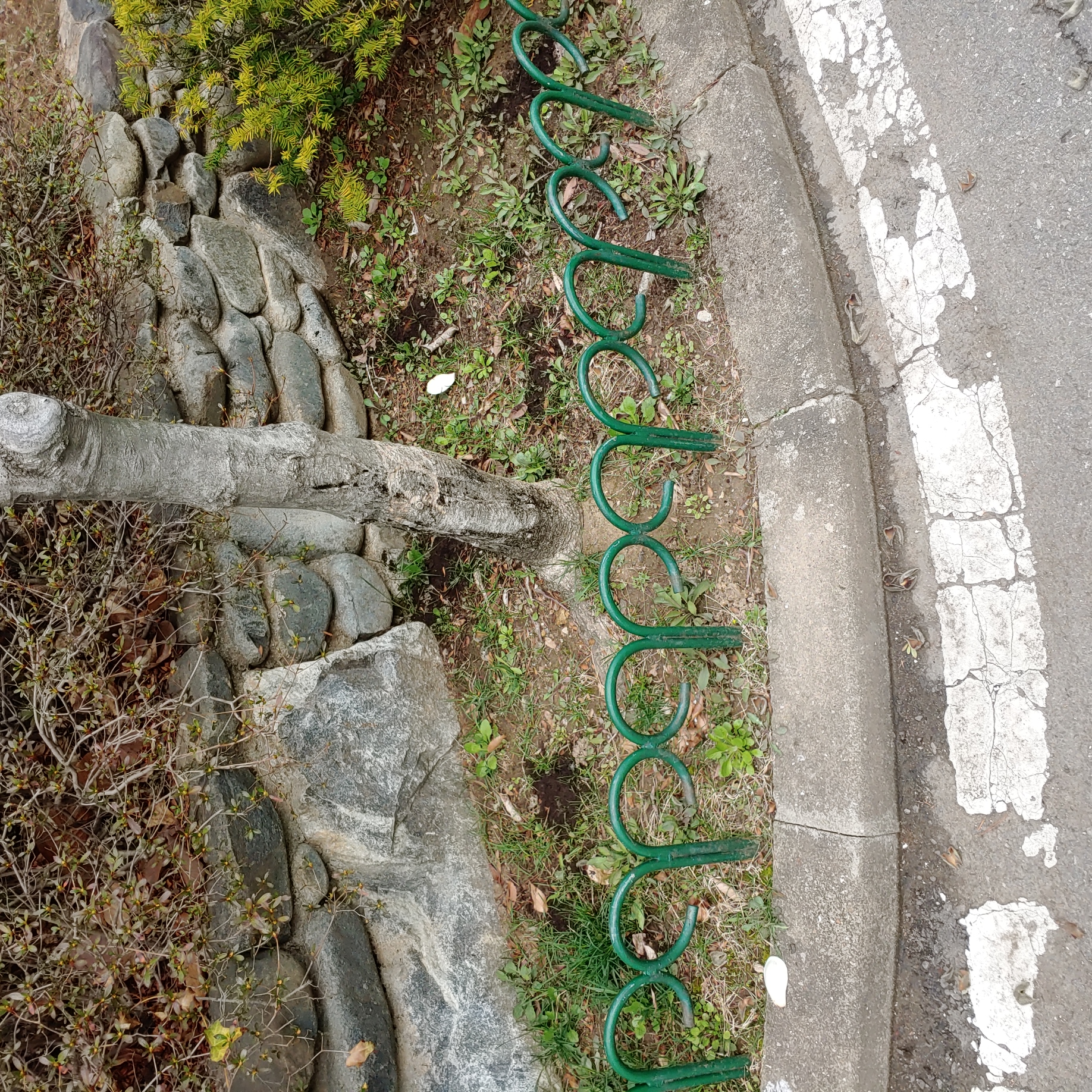 정발 건영3단지 — 아파트