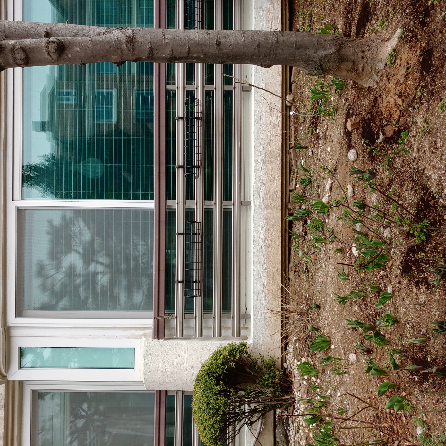 정발 건영3단지 — 아파트