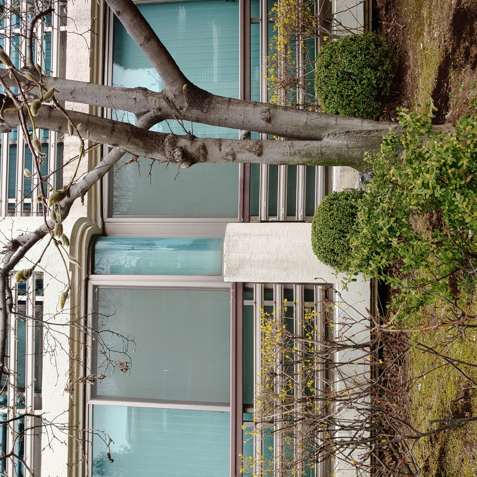 정발 건영3단지 — 아파트