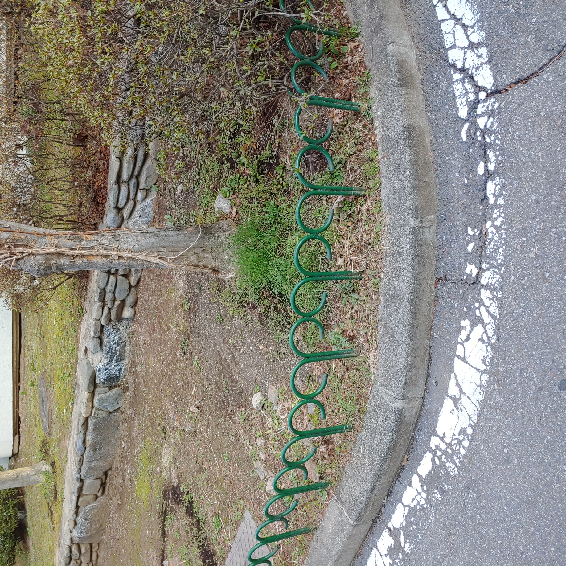 정발 건영3단지 — 아파트