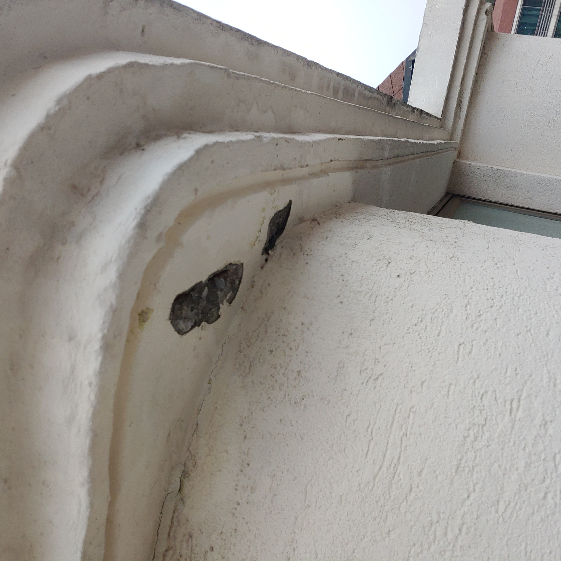 정발 건영3단지 — 아파트