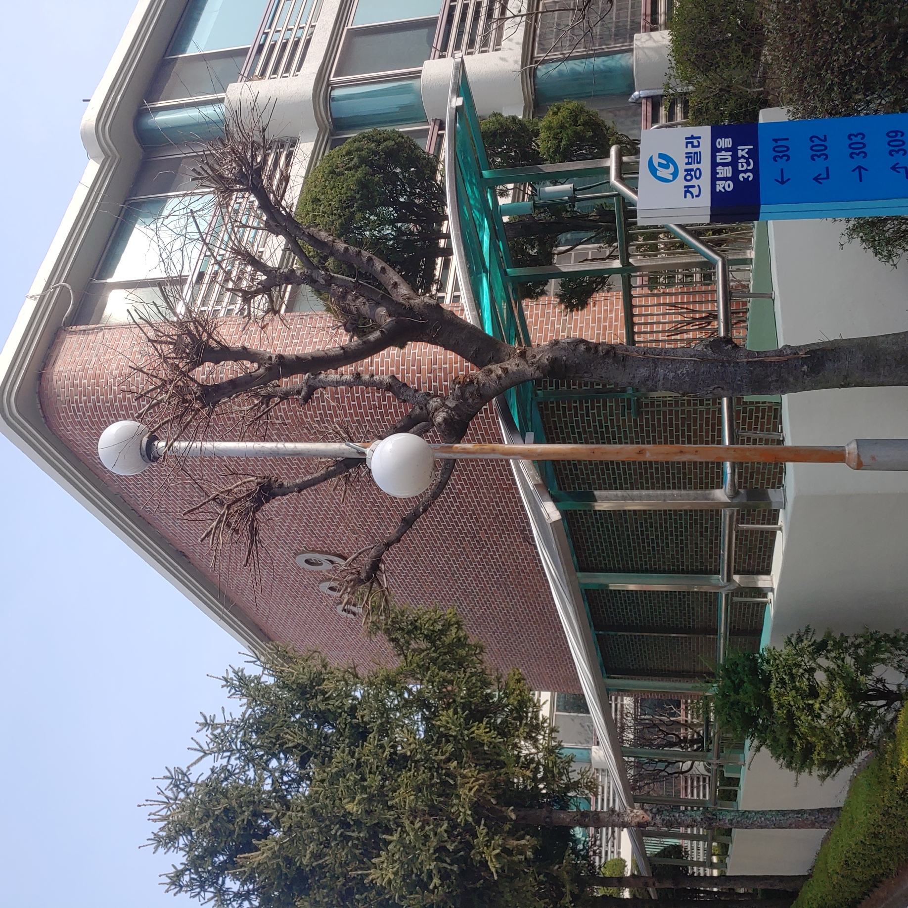 정발 건영3단지 — 아파트