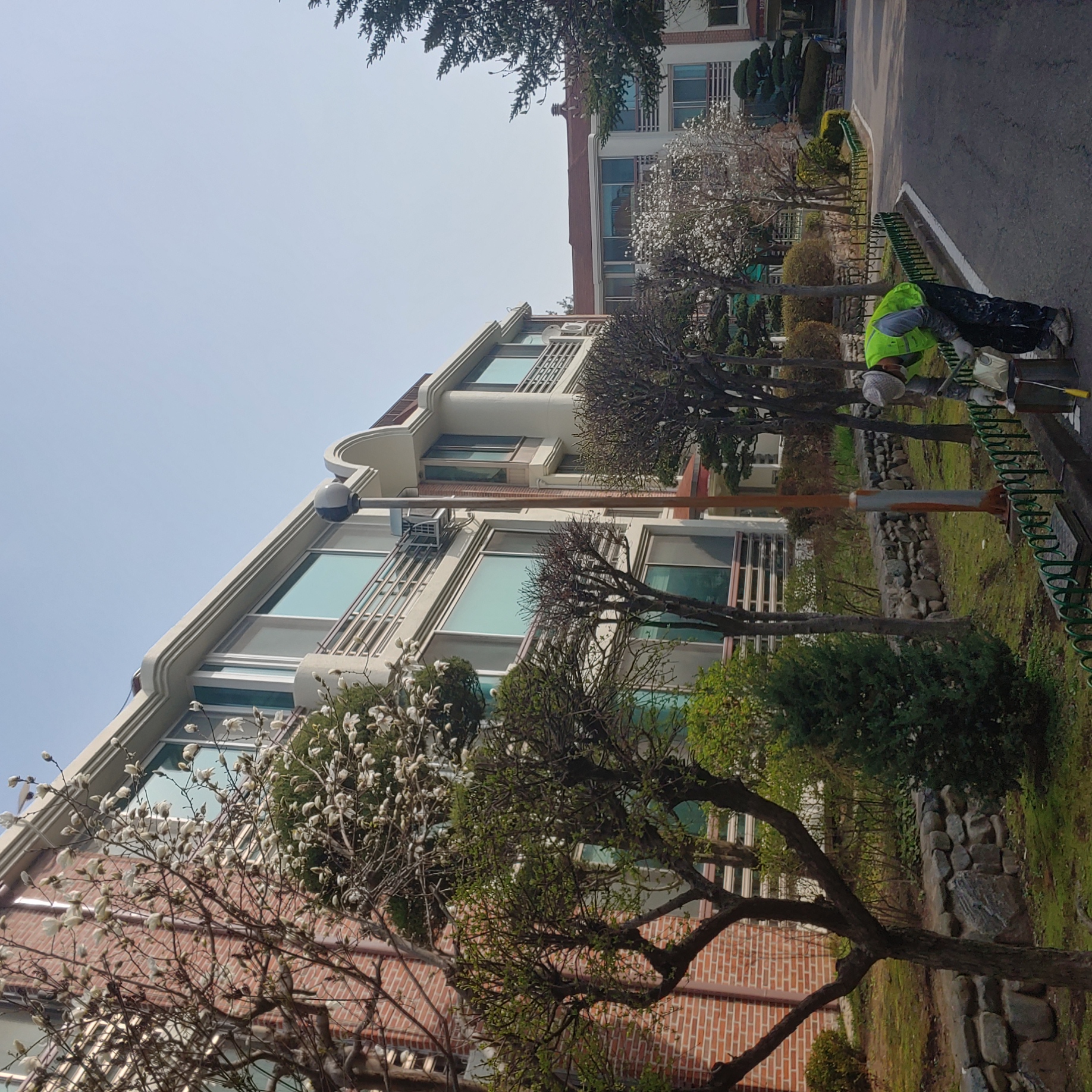 정발 건영3단지 — 아파트