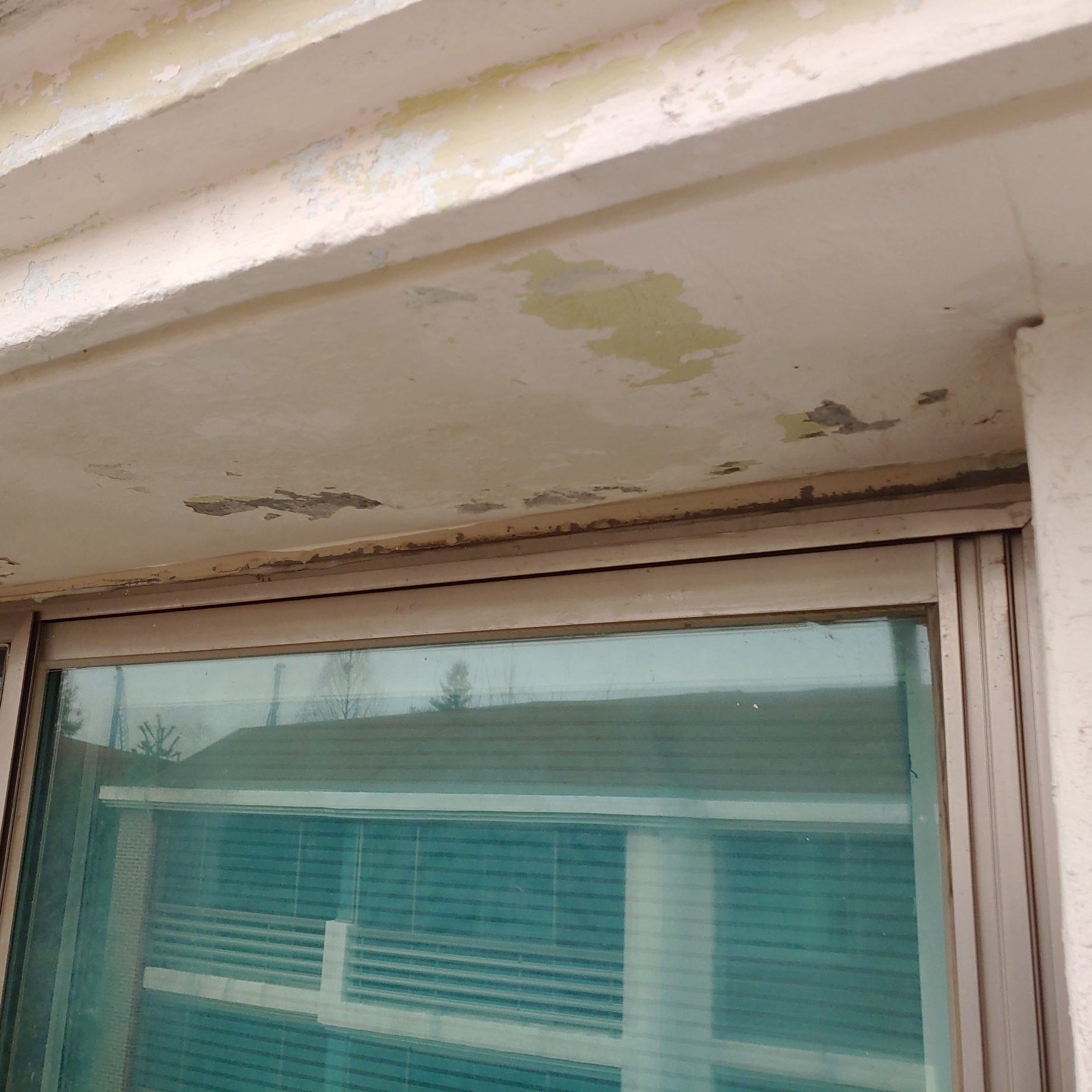 정발 건영3단지 — 아파트