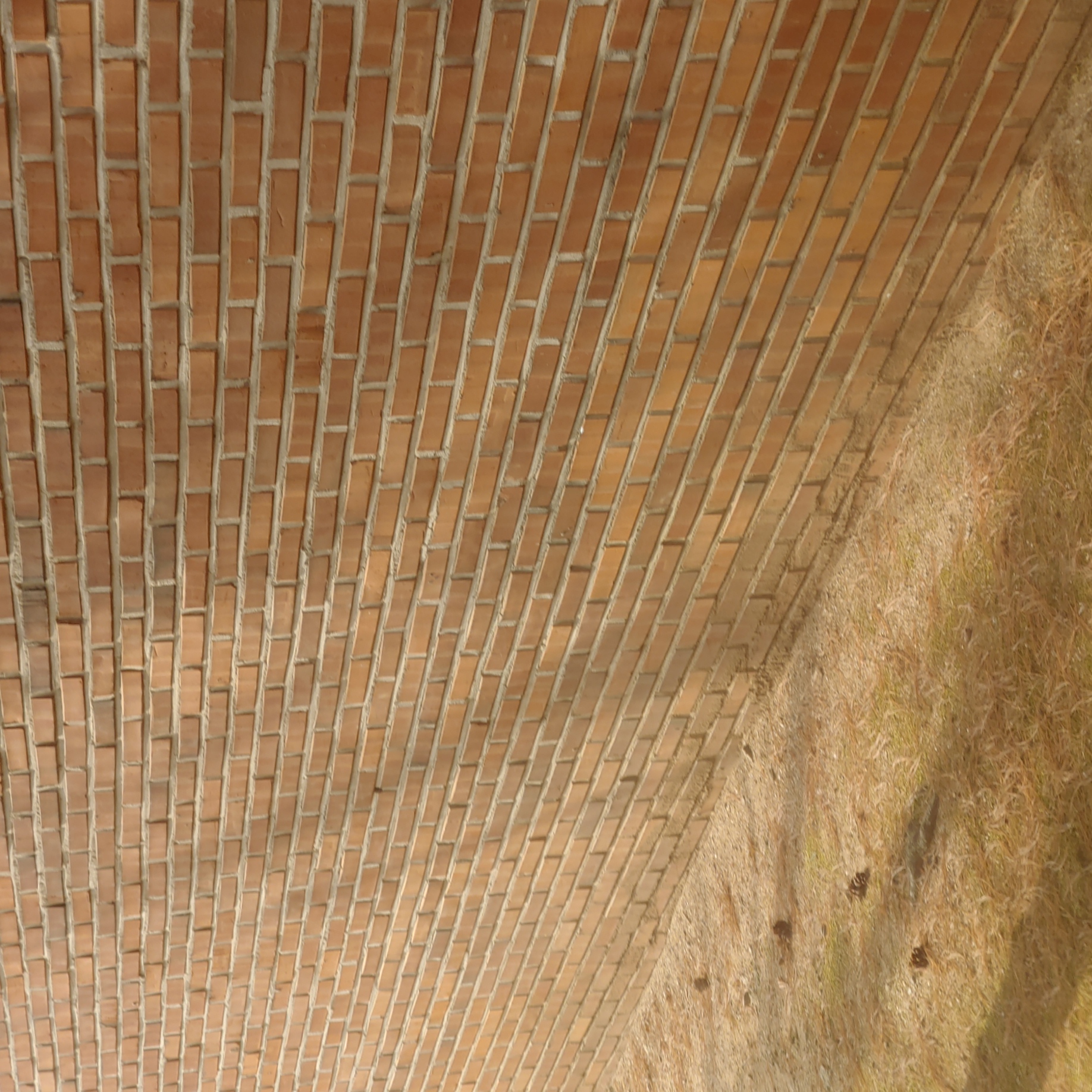 정발 건영3단지 — 아파트