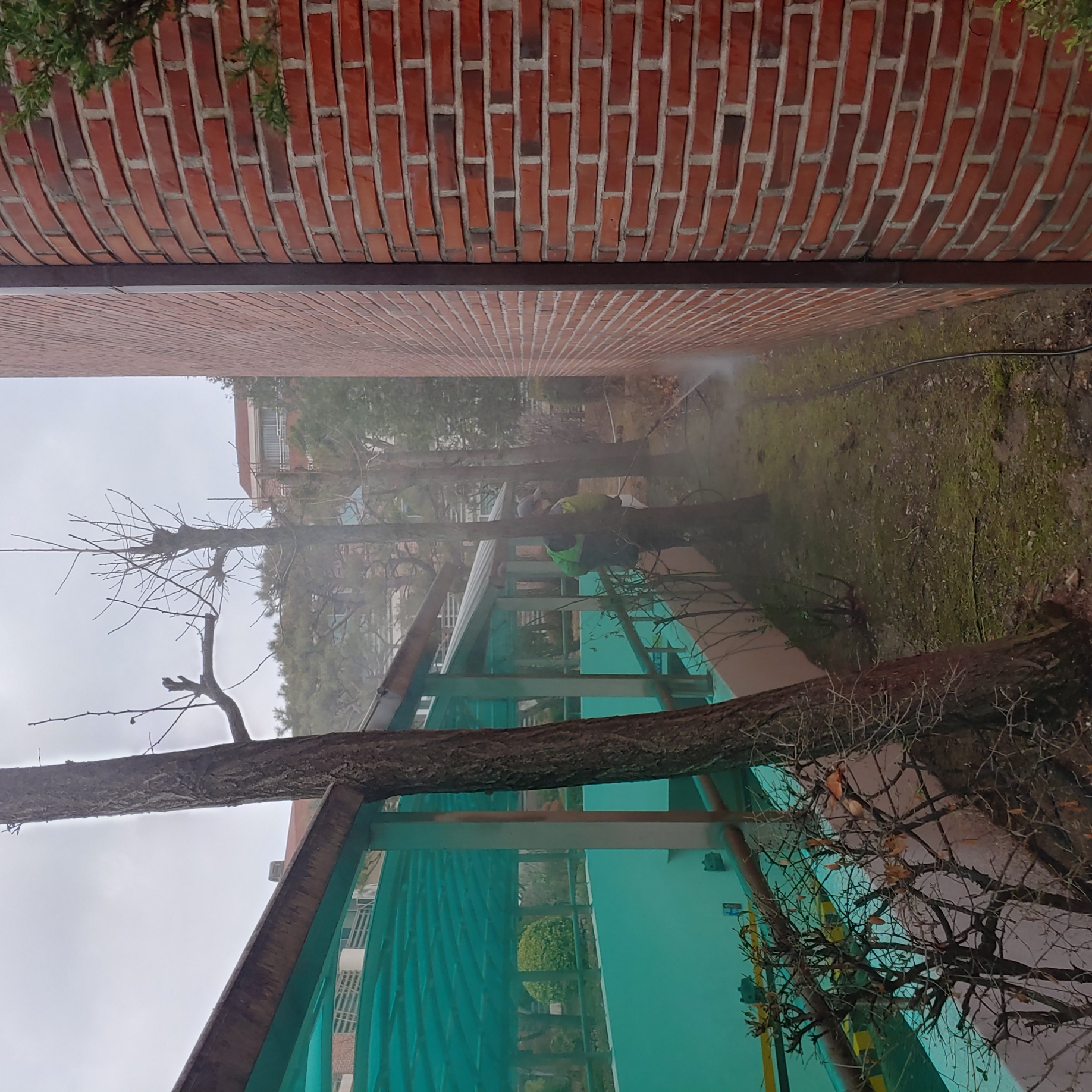 정발 건영3단지 — 아파트