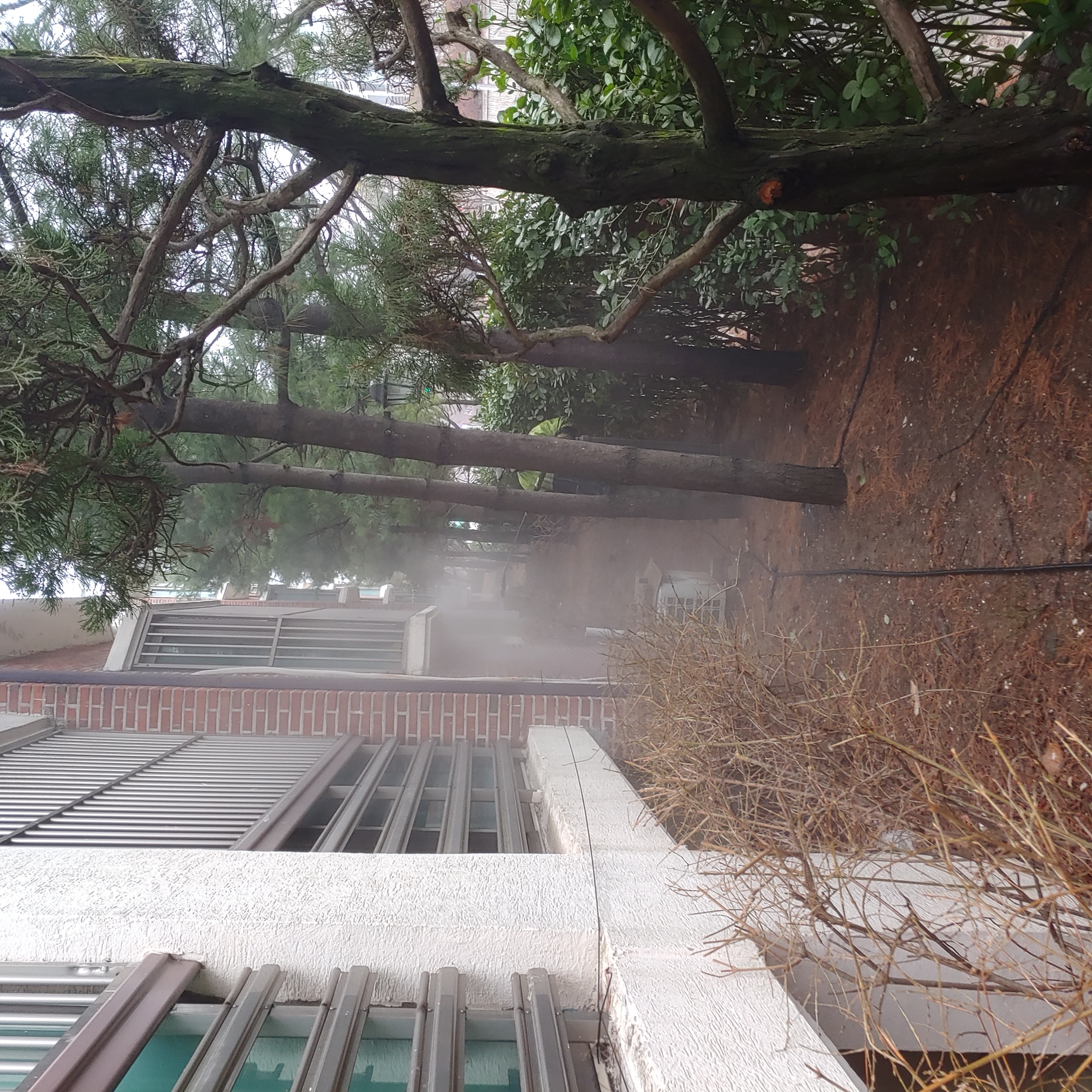 정발 건영3단지 — 아파트