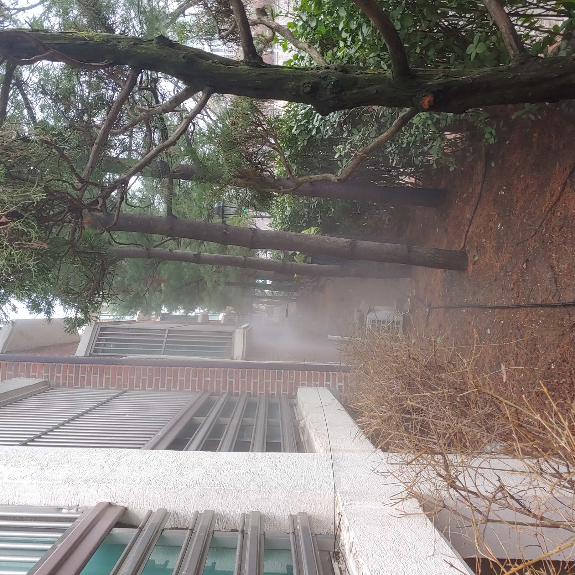 정발 건영3단지 — 아파트