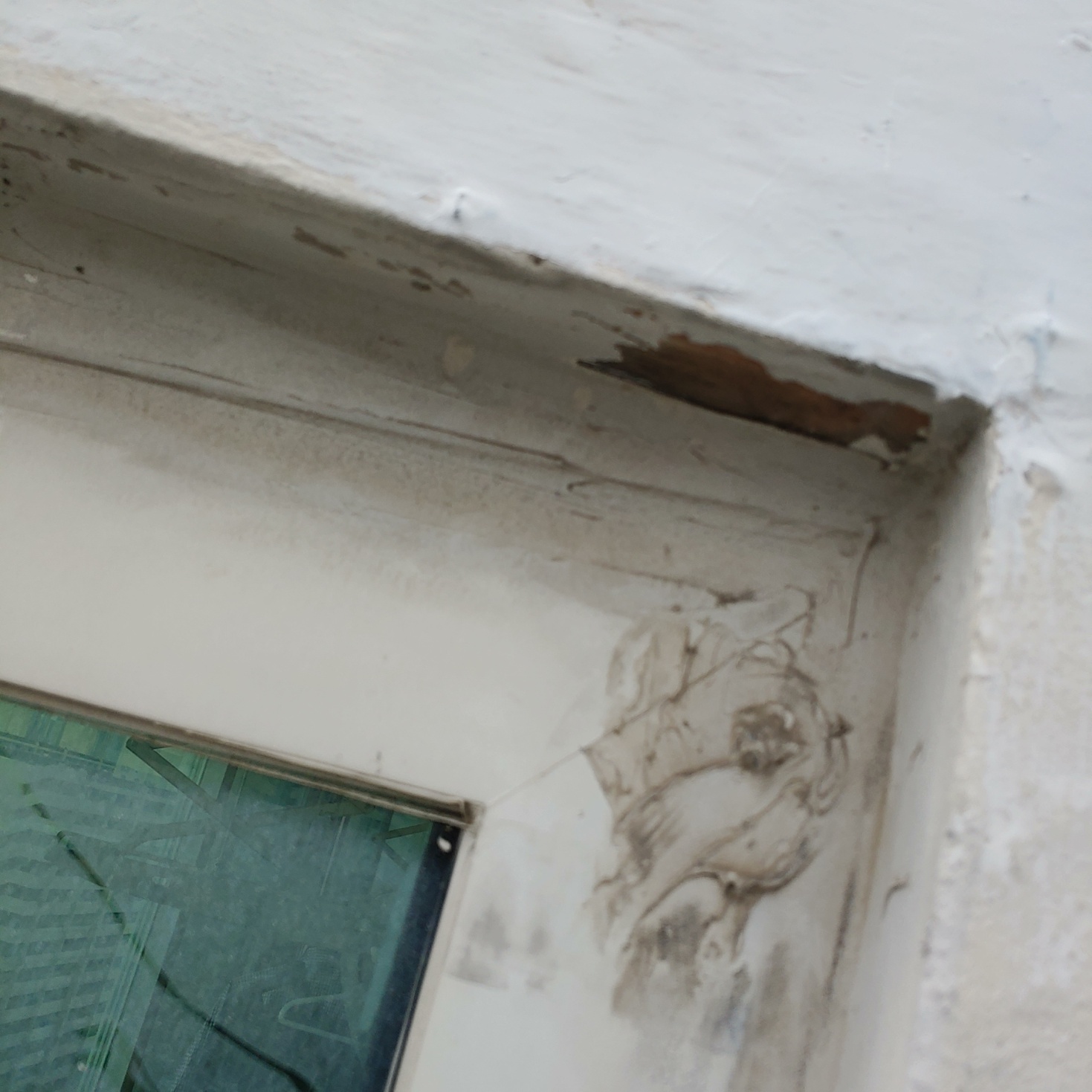 개포동 주공6단지 — 아파트