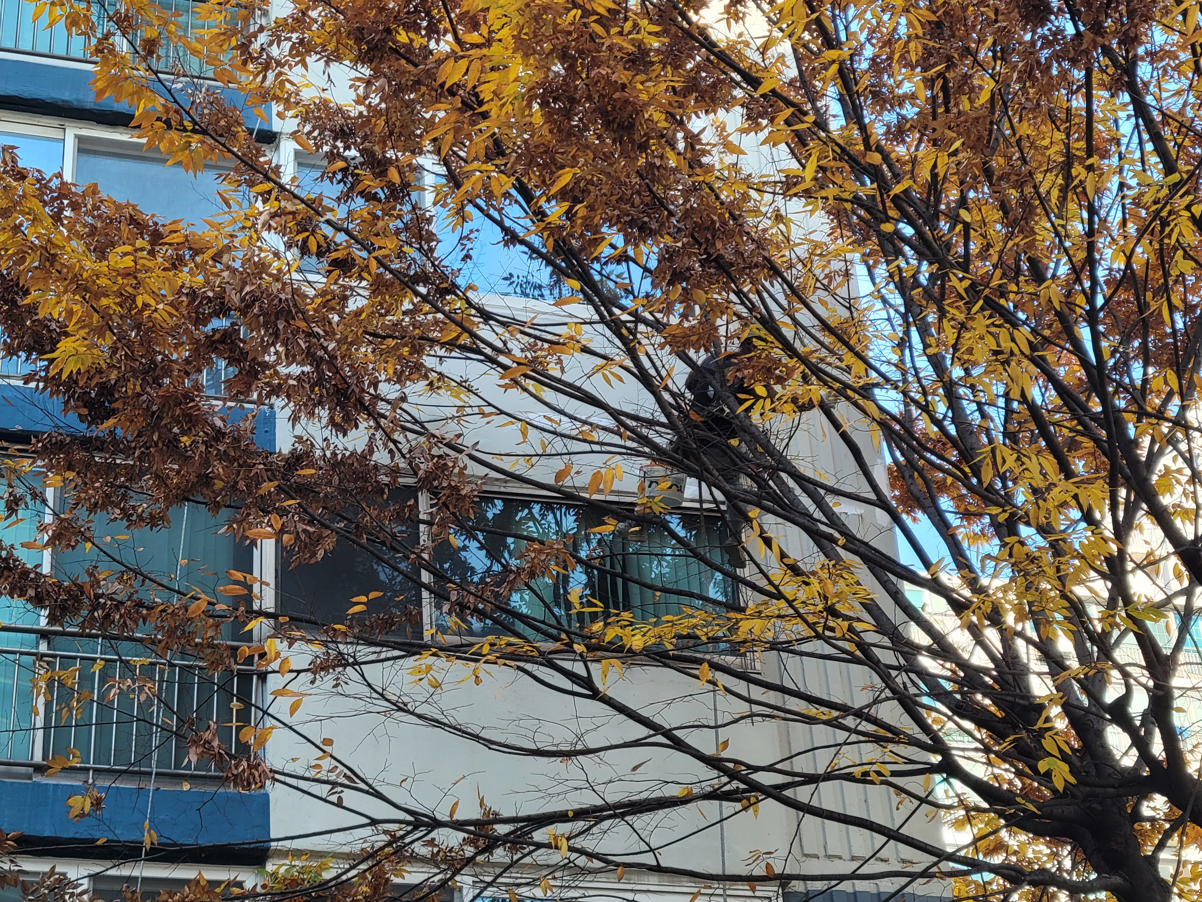 문래 현대5차 아파트 — 아파트