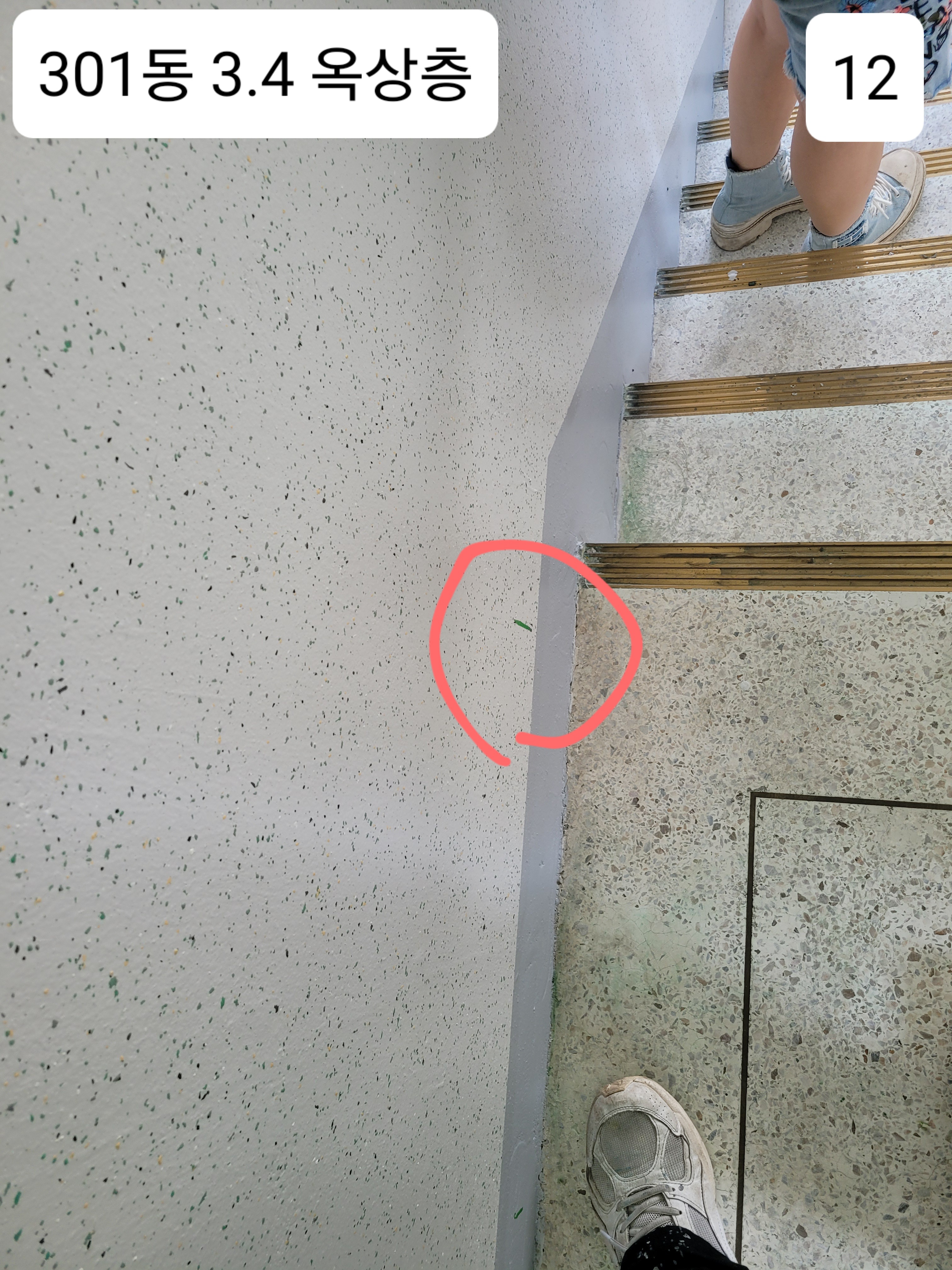 중계 청암3단지 아파트 — 아파트 도장