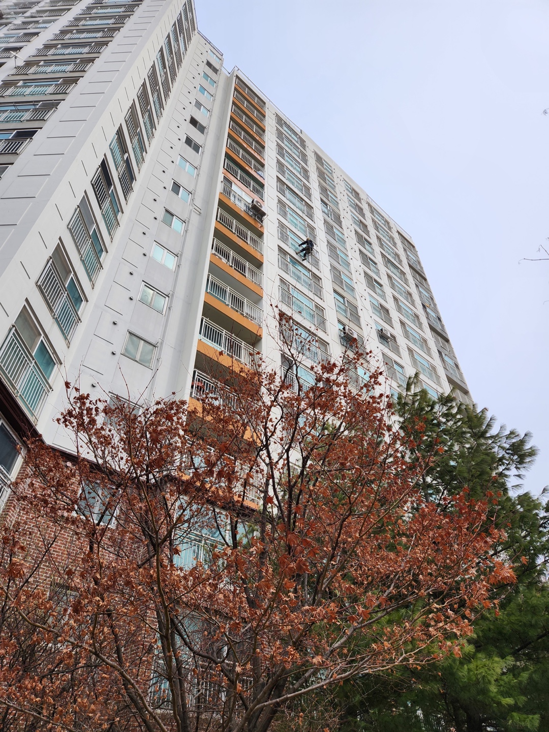 논현파크포레아파트 — 아파트 외벽