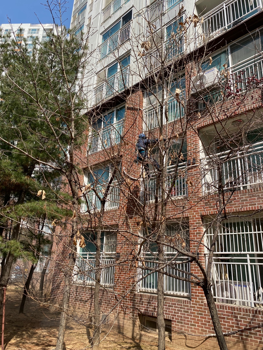 논현파크포레아파트 — 아파트 외벽