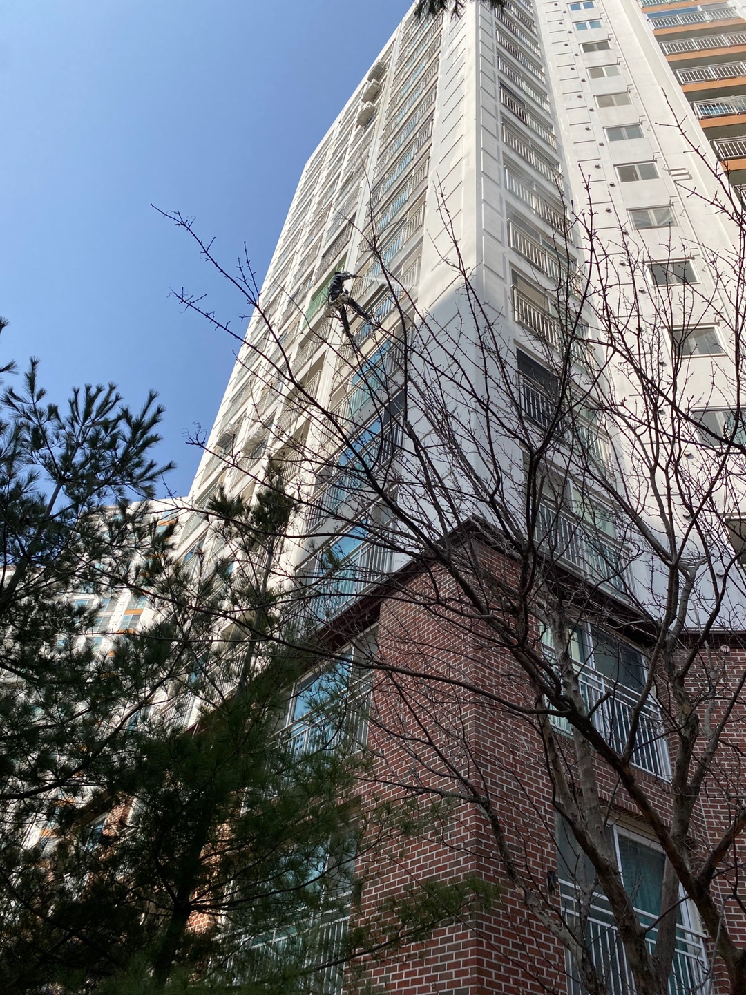 논현파크포레아파트 — 아파트 외벽