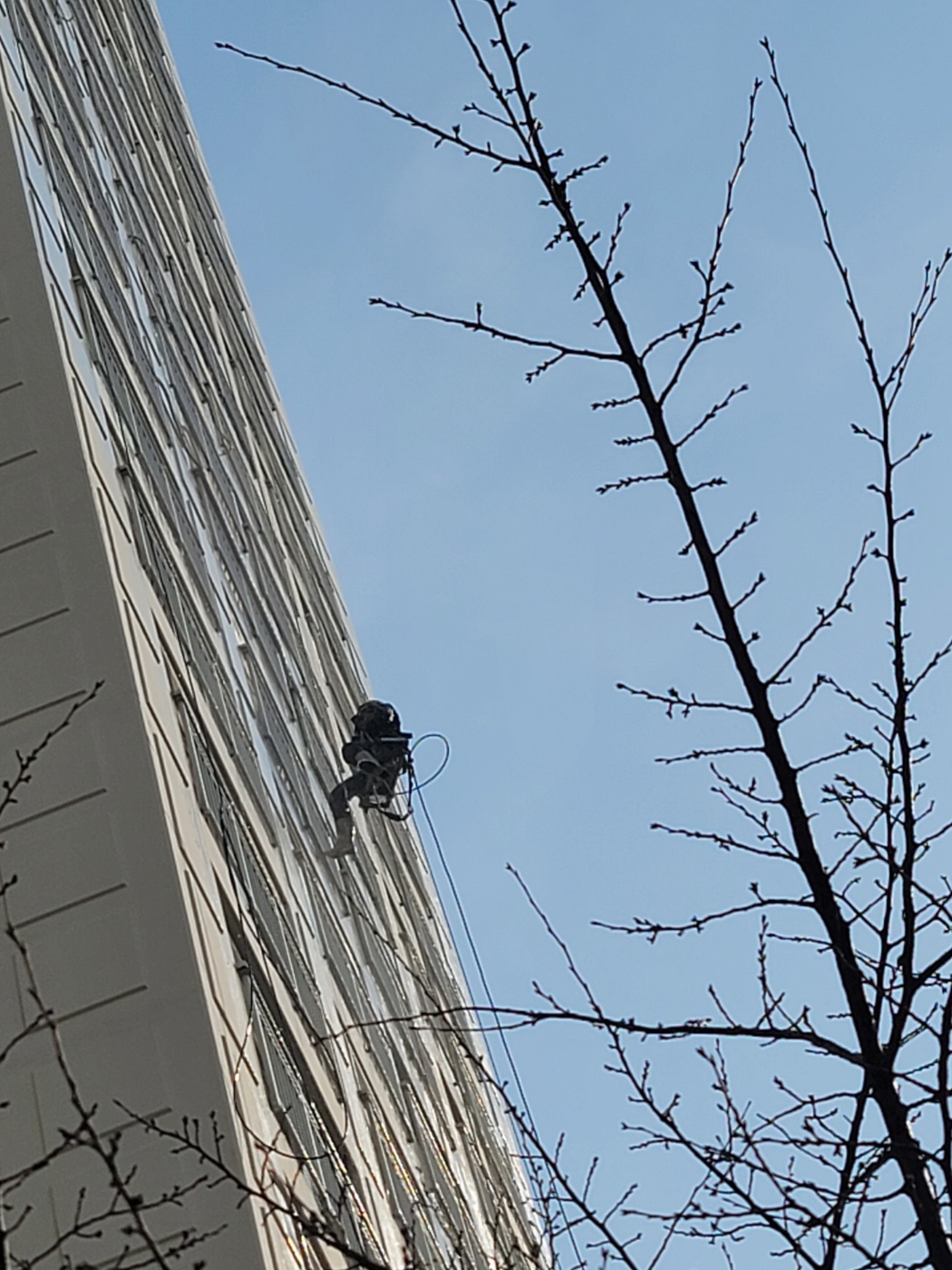 논현파크포레아파트 — 아파트 외벽