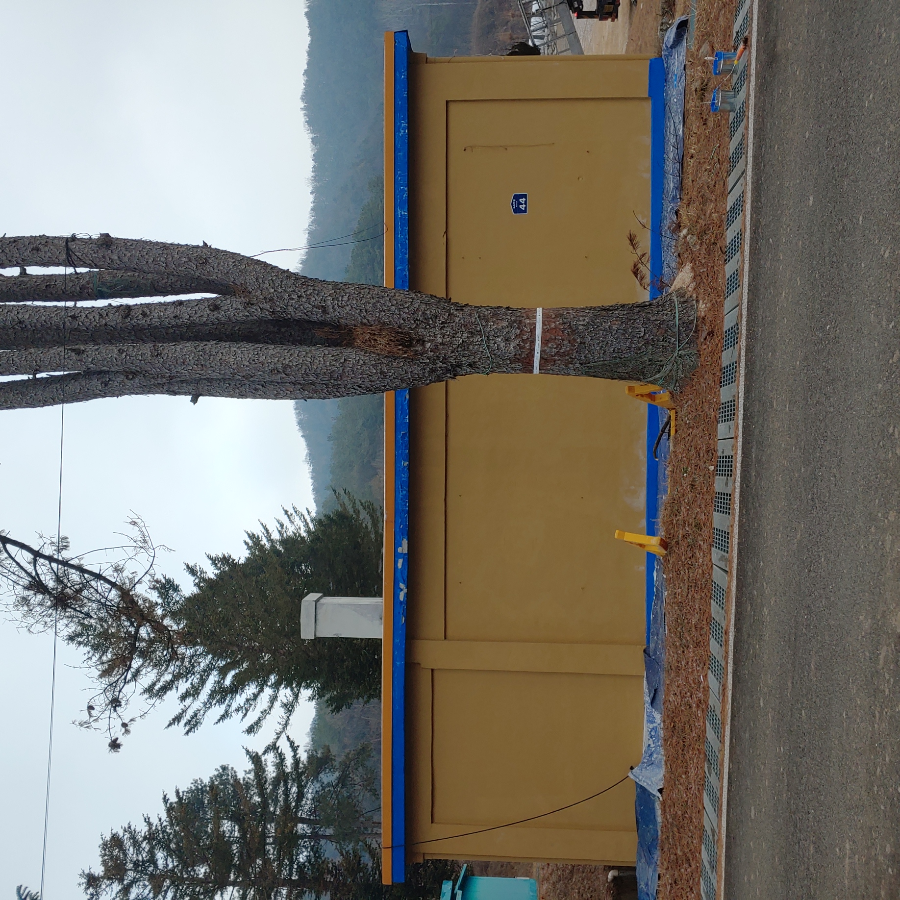 양평군 — 외부 보강 및 재도장