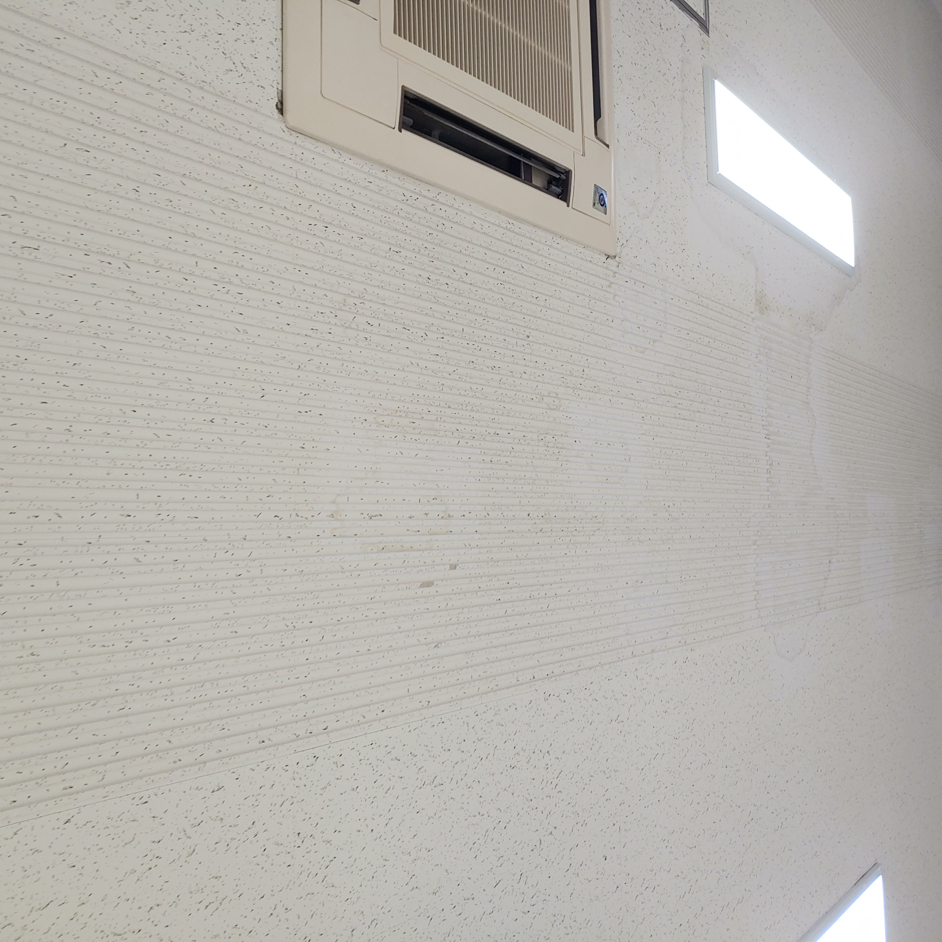 영등포 여고 — 여자 고등학교