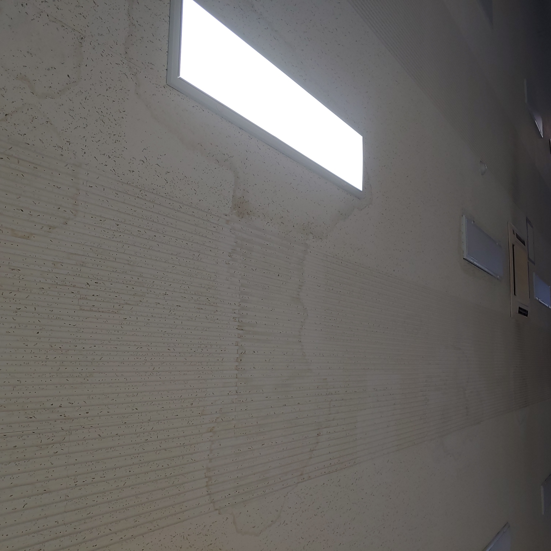 영등포 여고 — 여자 고등학교