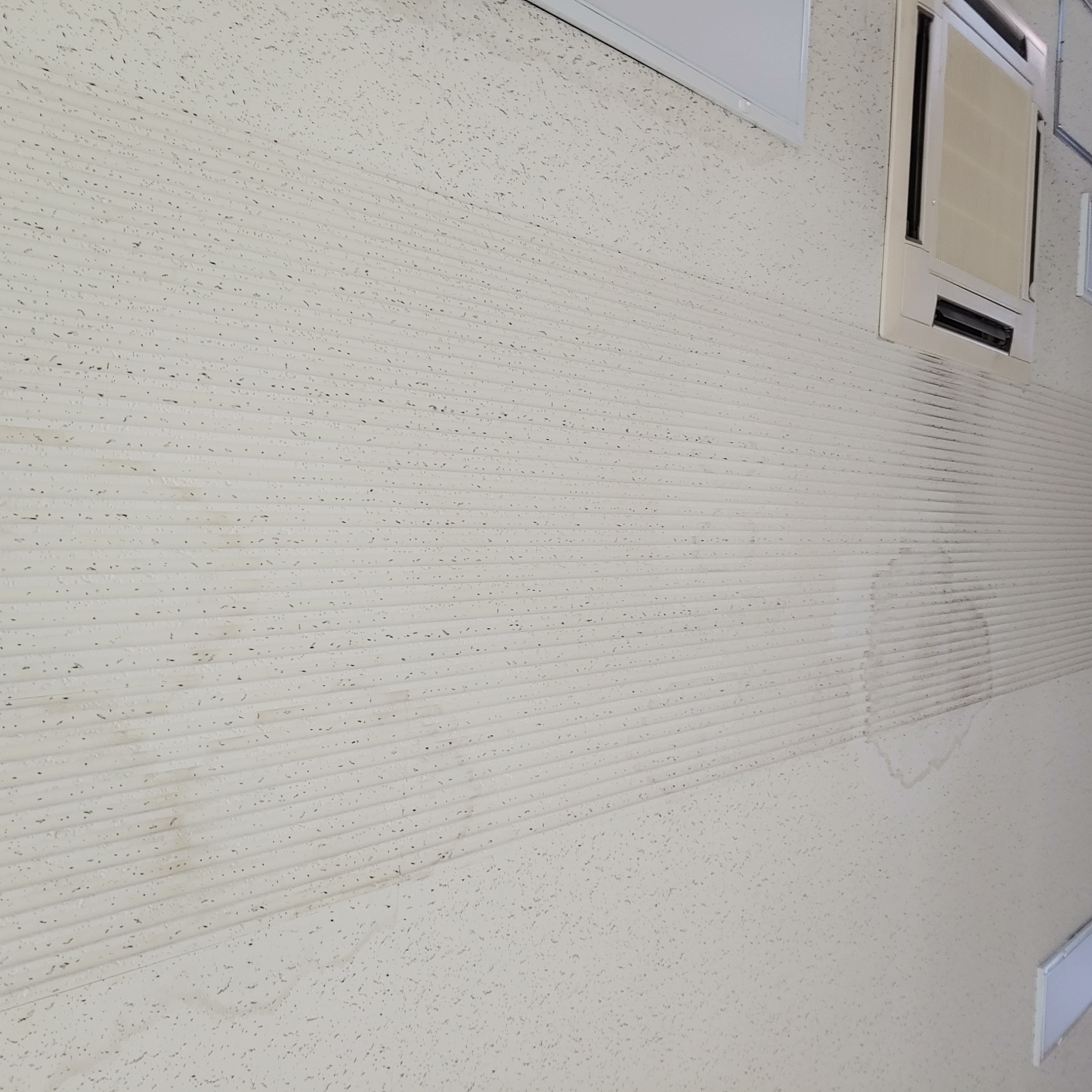 영등포 여고 — 여자 고등학교