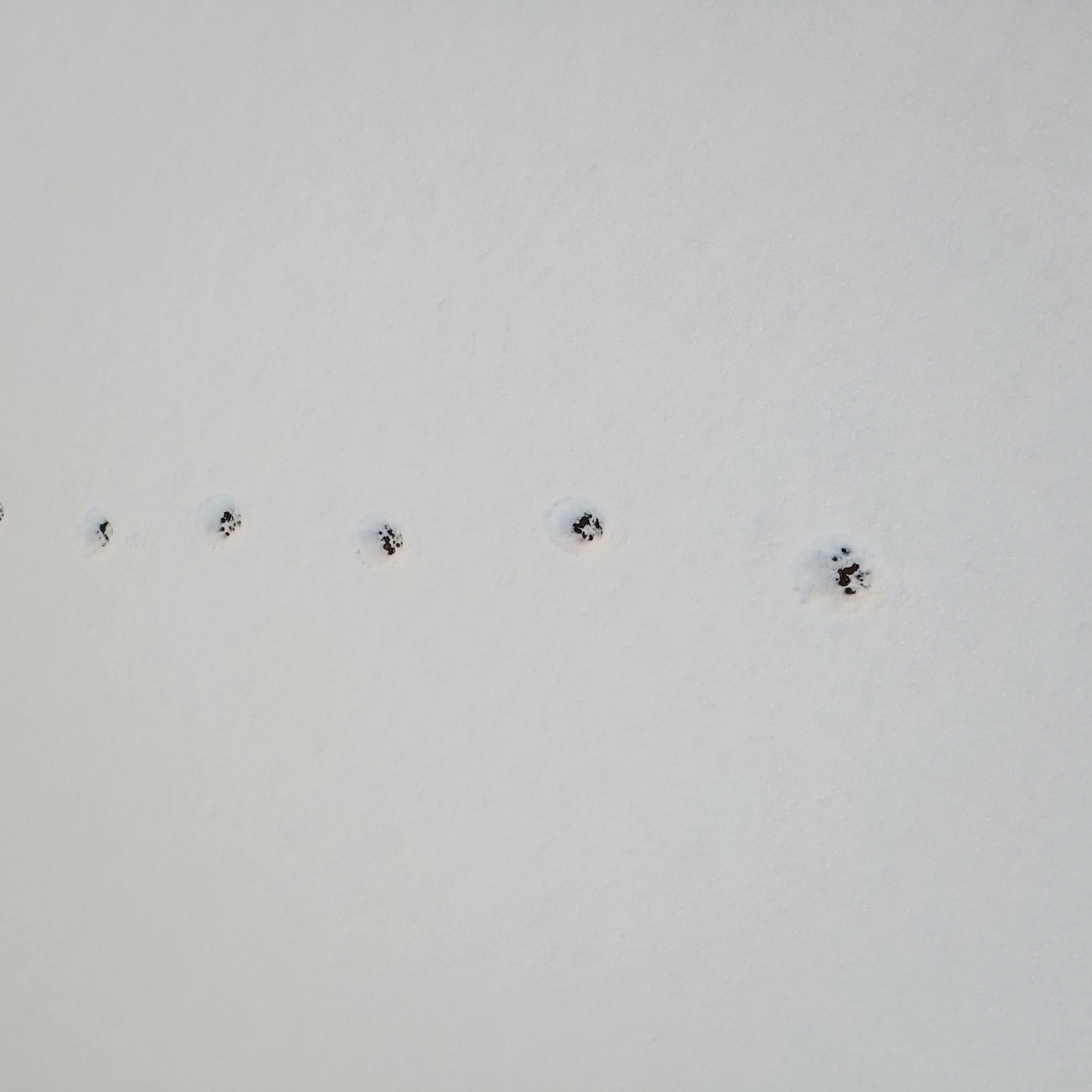 영등포 여고 — 여자 고등학교