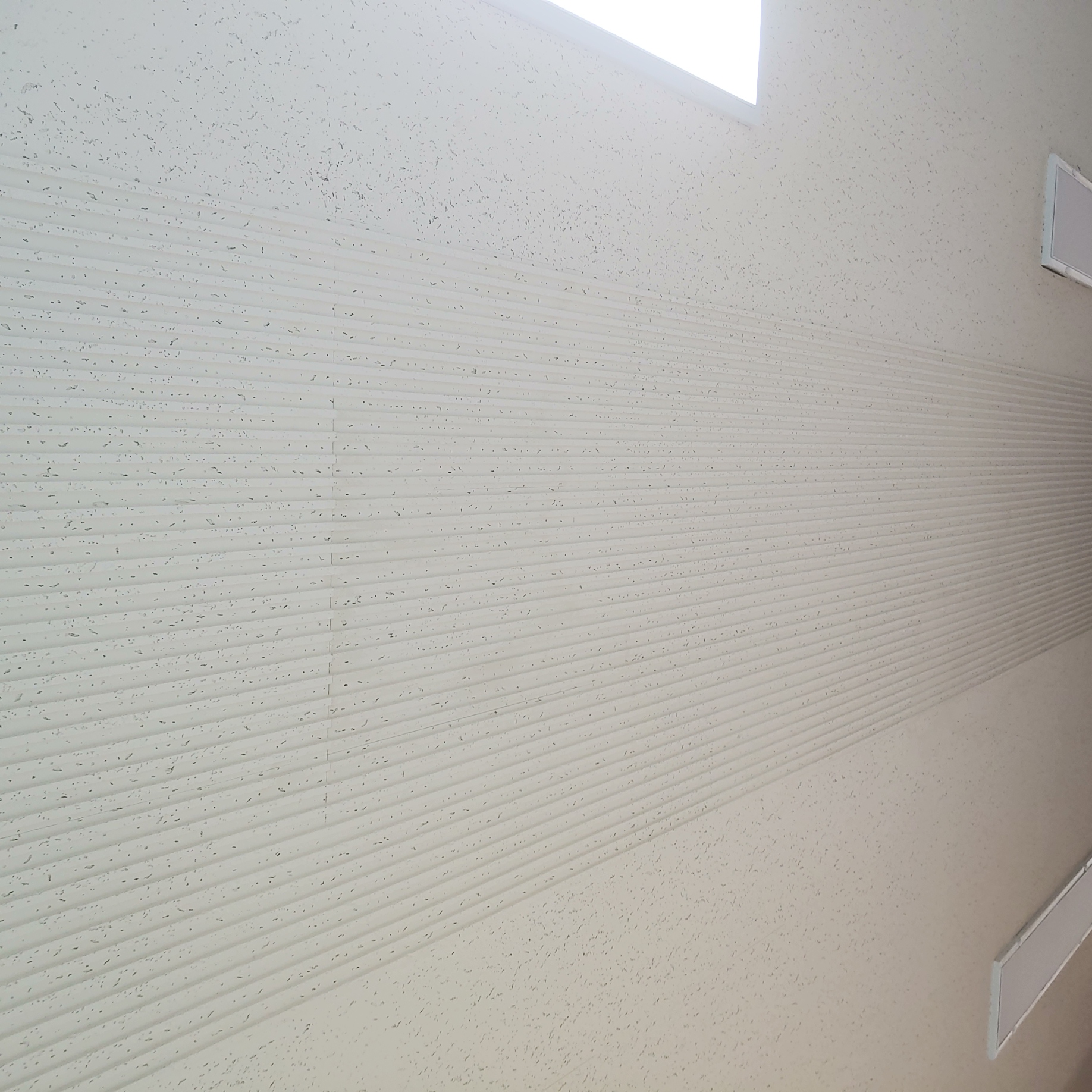 영등포 여고 — 여자 고등학교